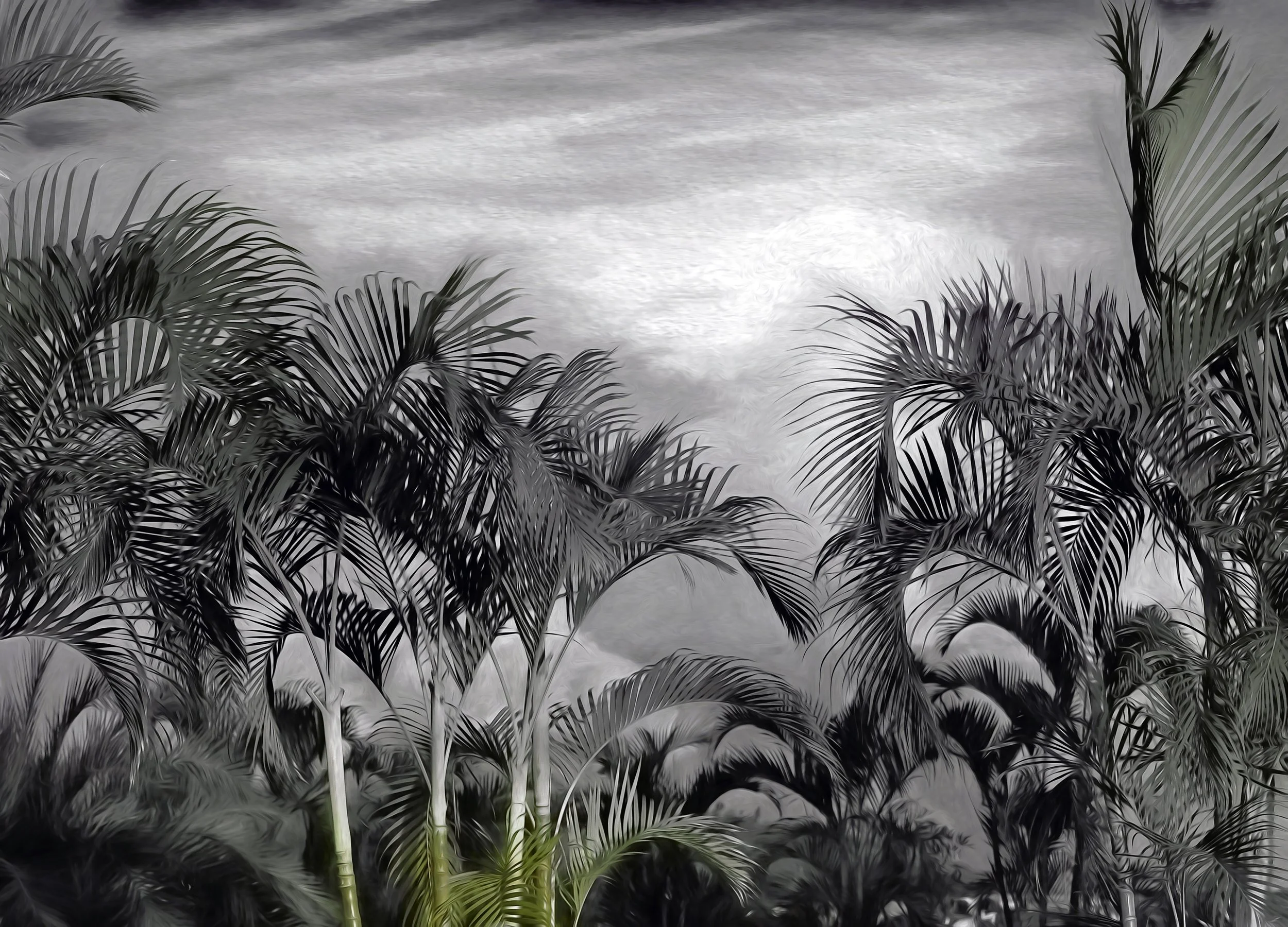 Palms (50x36 Hahnemüle Photorag) copy.jpg