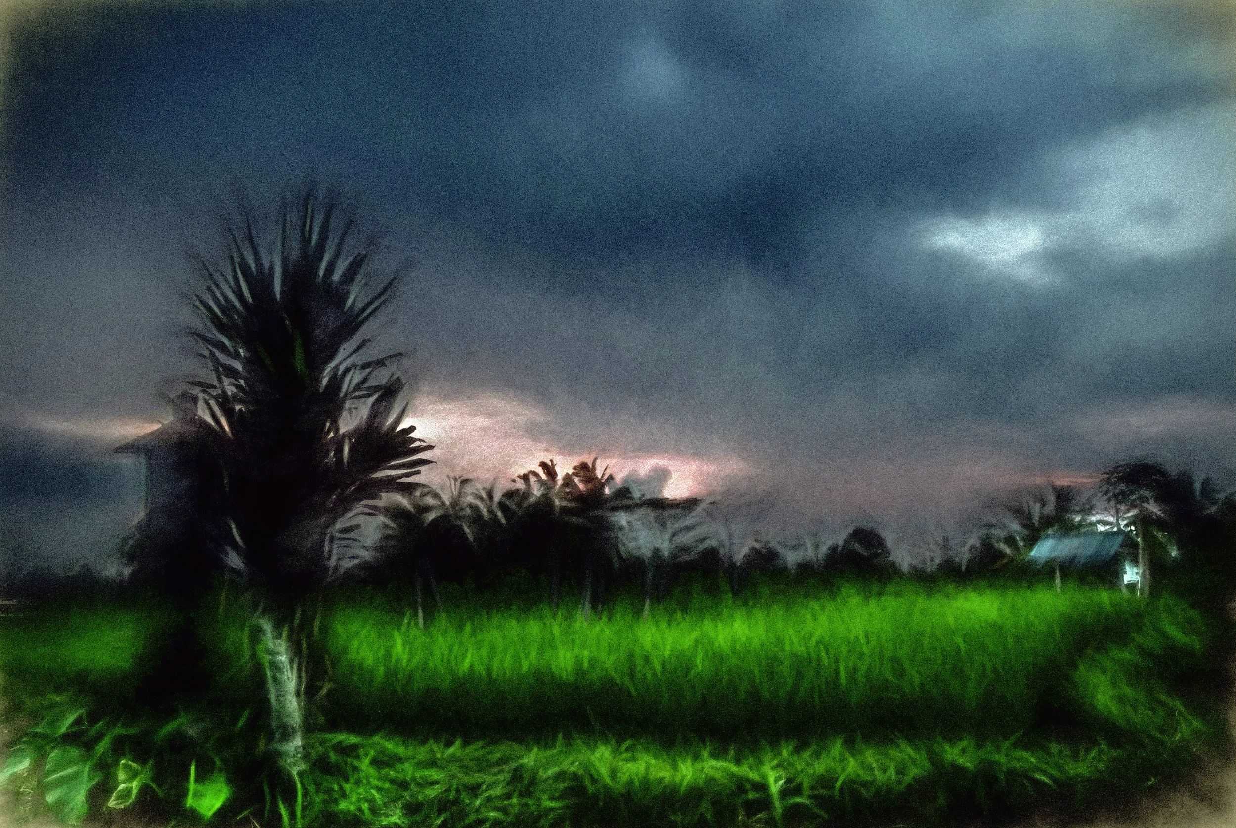 Hut In A Rice Field (50x33.5 Hahnemüle Photorag) copy.jpg