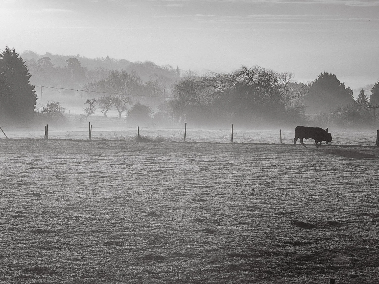 wivenhoe-windyridge-9.jpg
