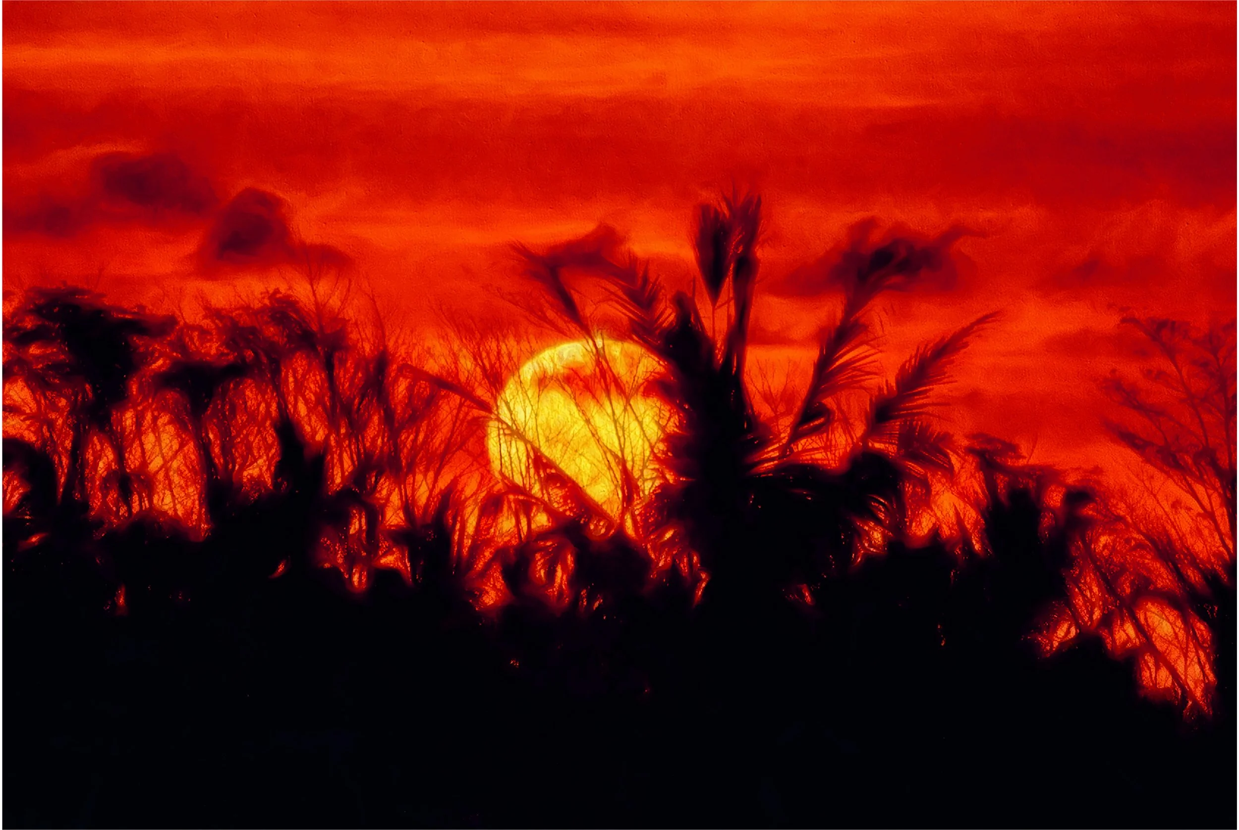 Red Sun (50x33.5 Hahnemüle Photorag) copy.jpg