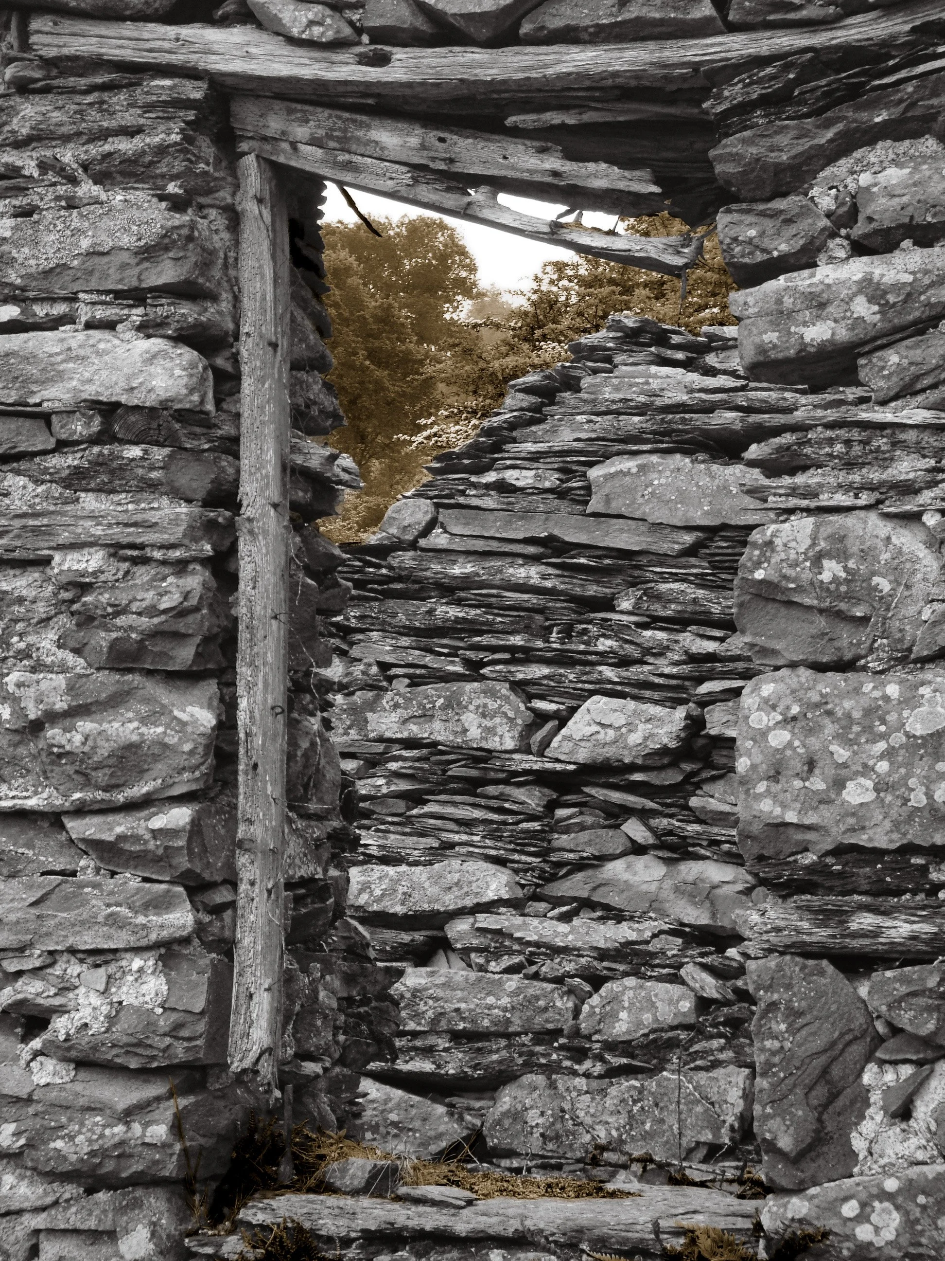 michael-old-wall-wales.jpg