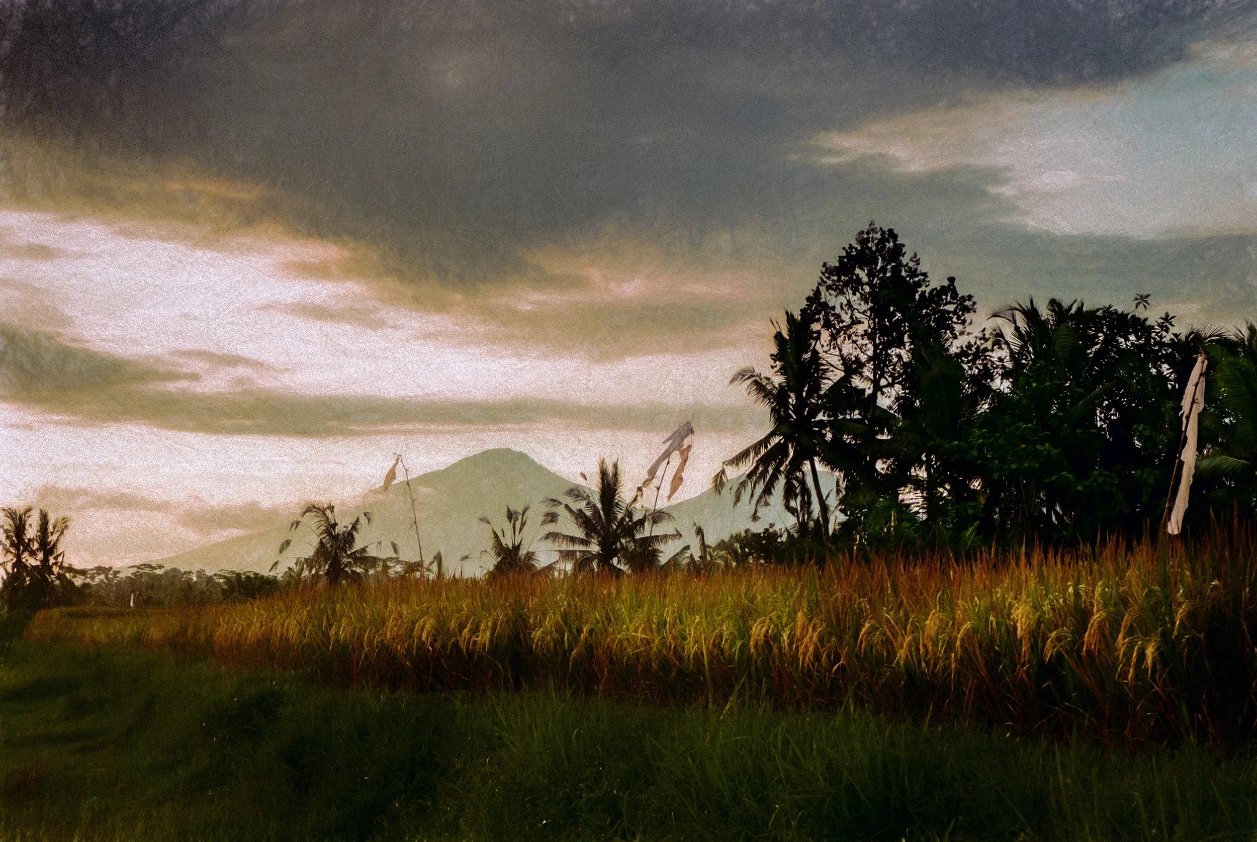 Mountains Across The Rice Fields (50x33.5 Hahnemüle Photorag) copy.jpg