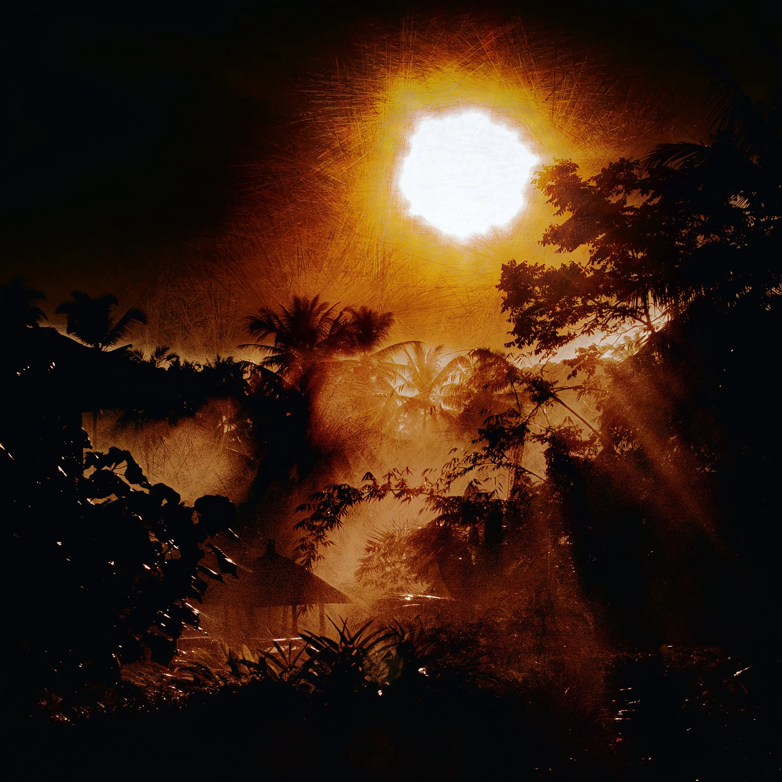 Jungle At Sunset (40x40 Hahnemüle Bamboo) copy.jpg