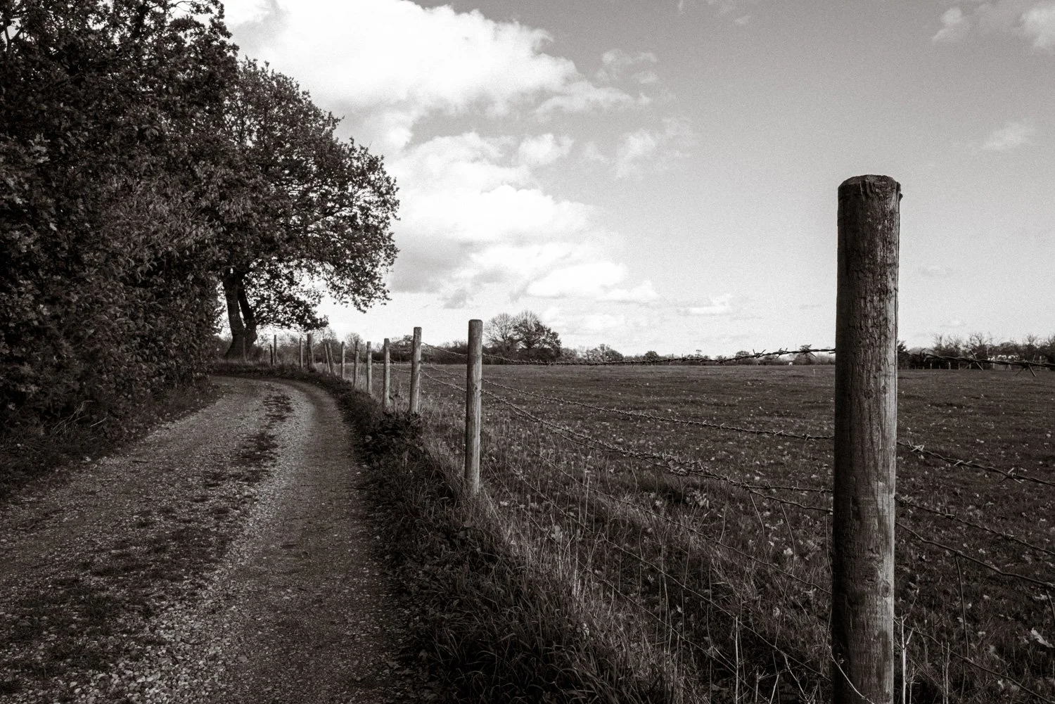 wivenhoe-track6.jpg