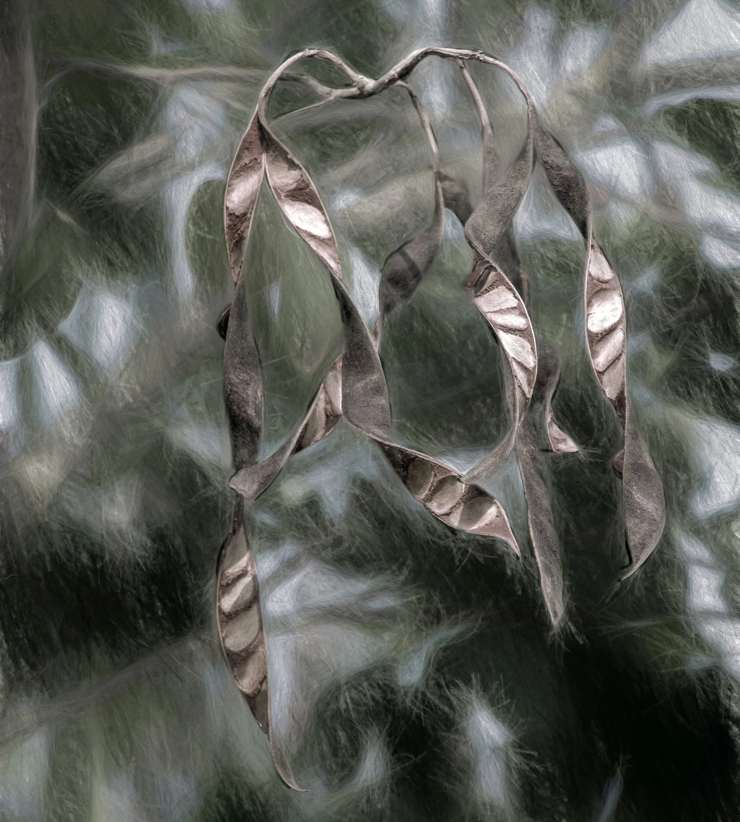 Pods (45x50 Hahnemüle Photorag) copy.jpg