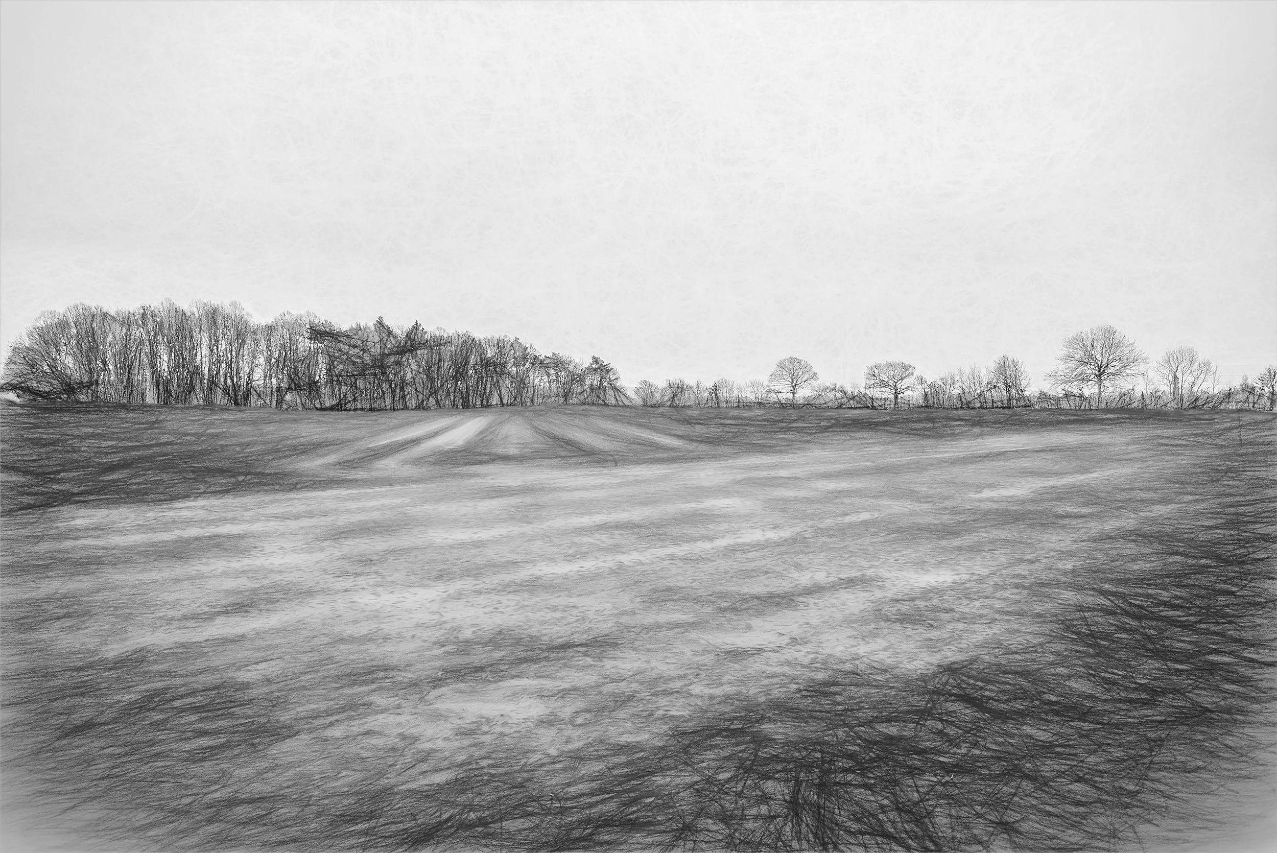 Meadow in Winter (50x33.4 Hahnemüle Photorag) copy.jpg