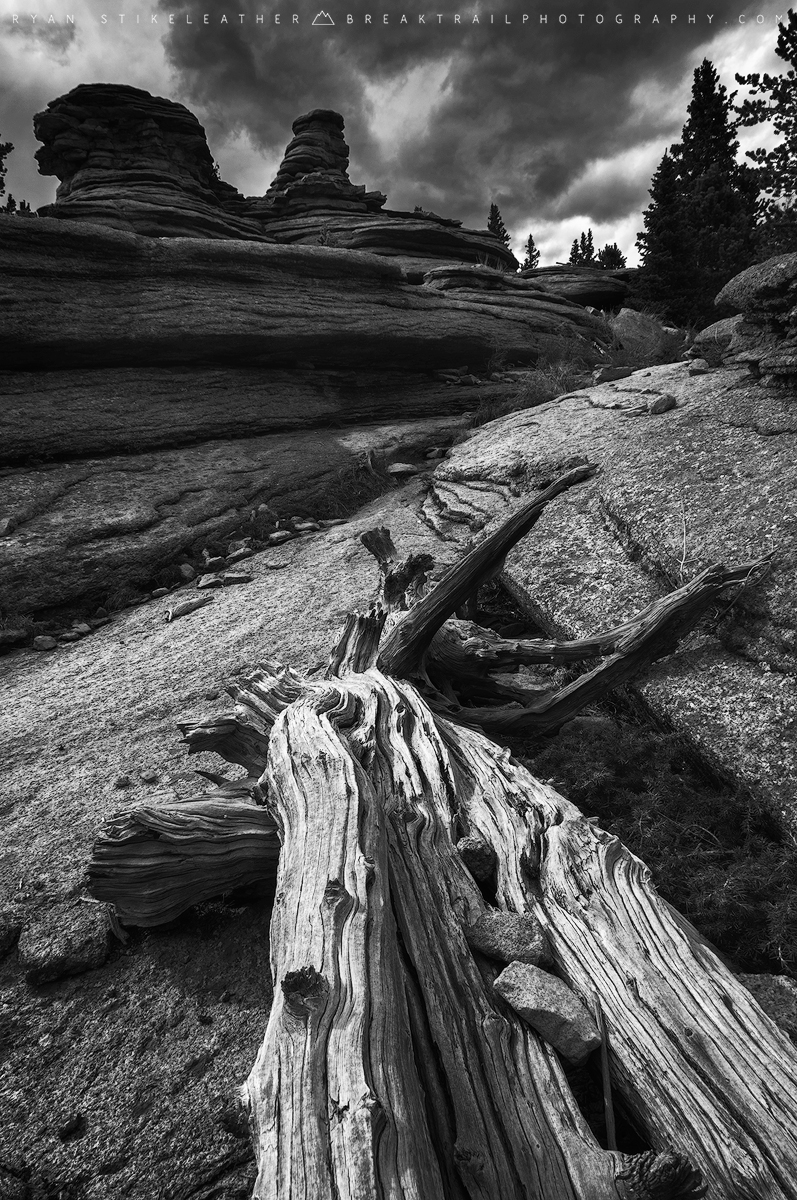 Weather wood bleached by the sun