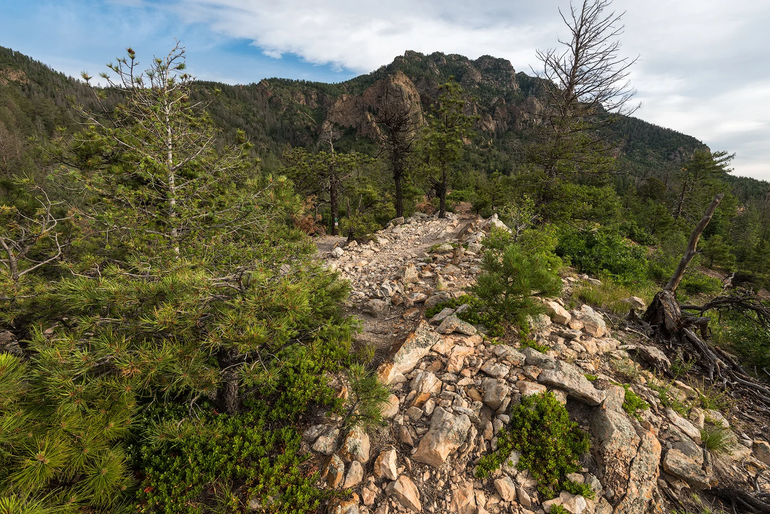 Just after sunrise in Cheyenne Mountain State Park