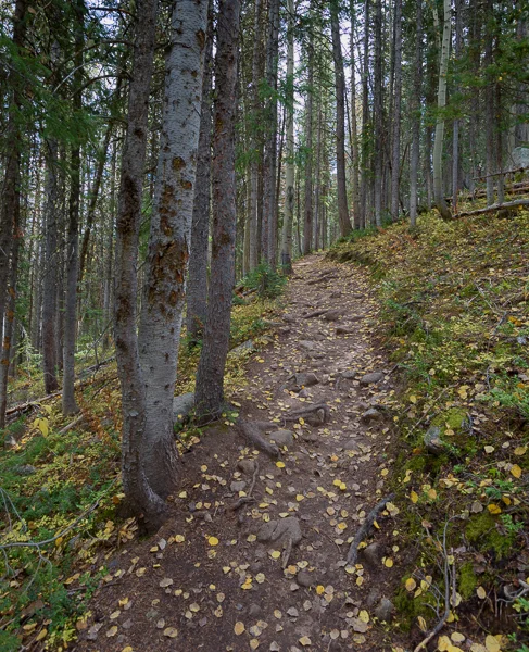 Three Lake Trail #843