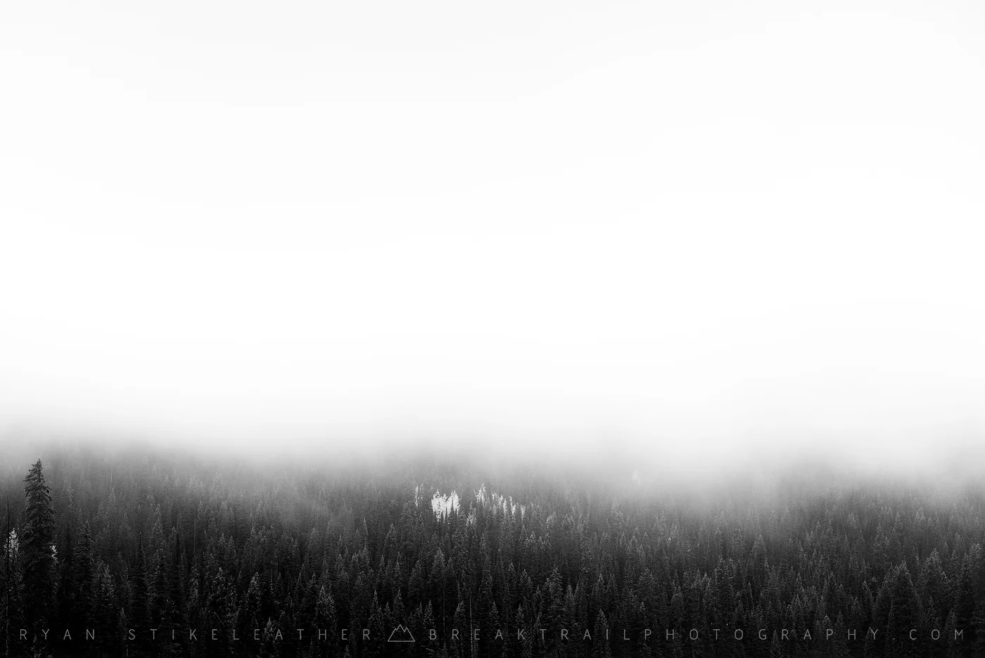 White Veil