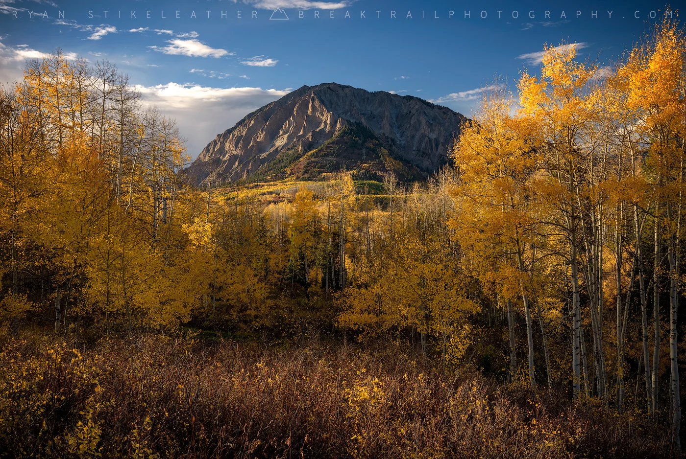 Framed In Gold