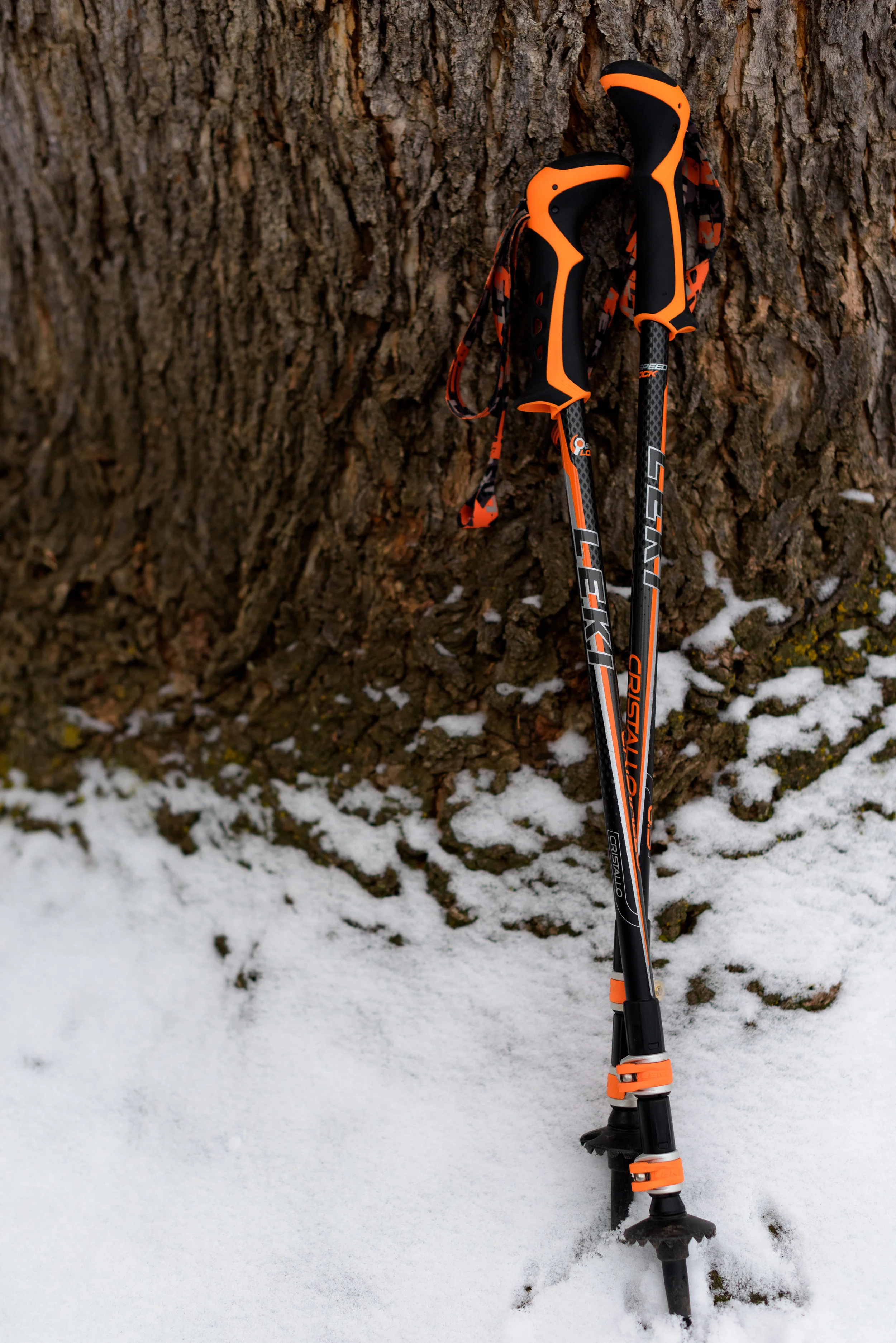 Photo by: Ryan Stikeleather Break Trail Photography (www.breaktrailphotography.com)