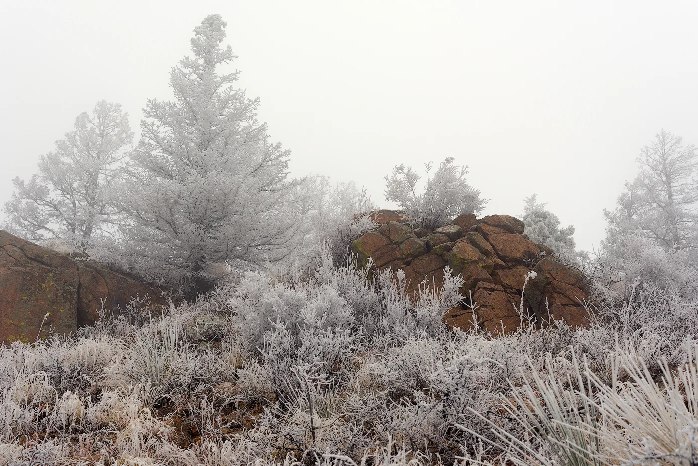 Yup, still frosty out there.