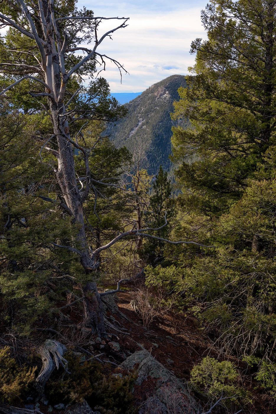 Photo by: Ryan Stikeleather Break Trail Photography (www.breaktrailphotography.com)