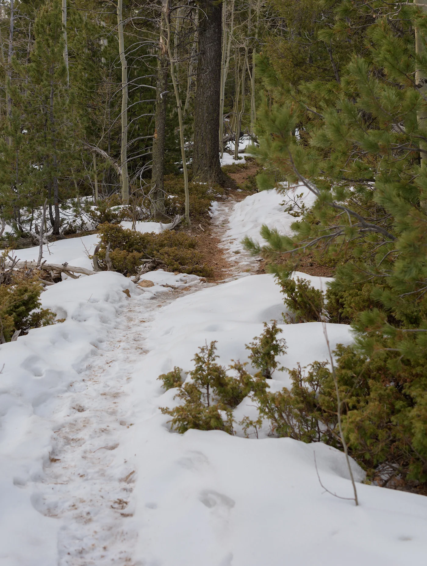 I'm not the only one who hikes this trail