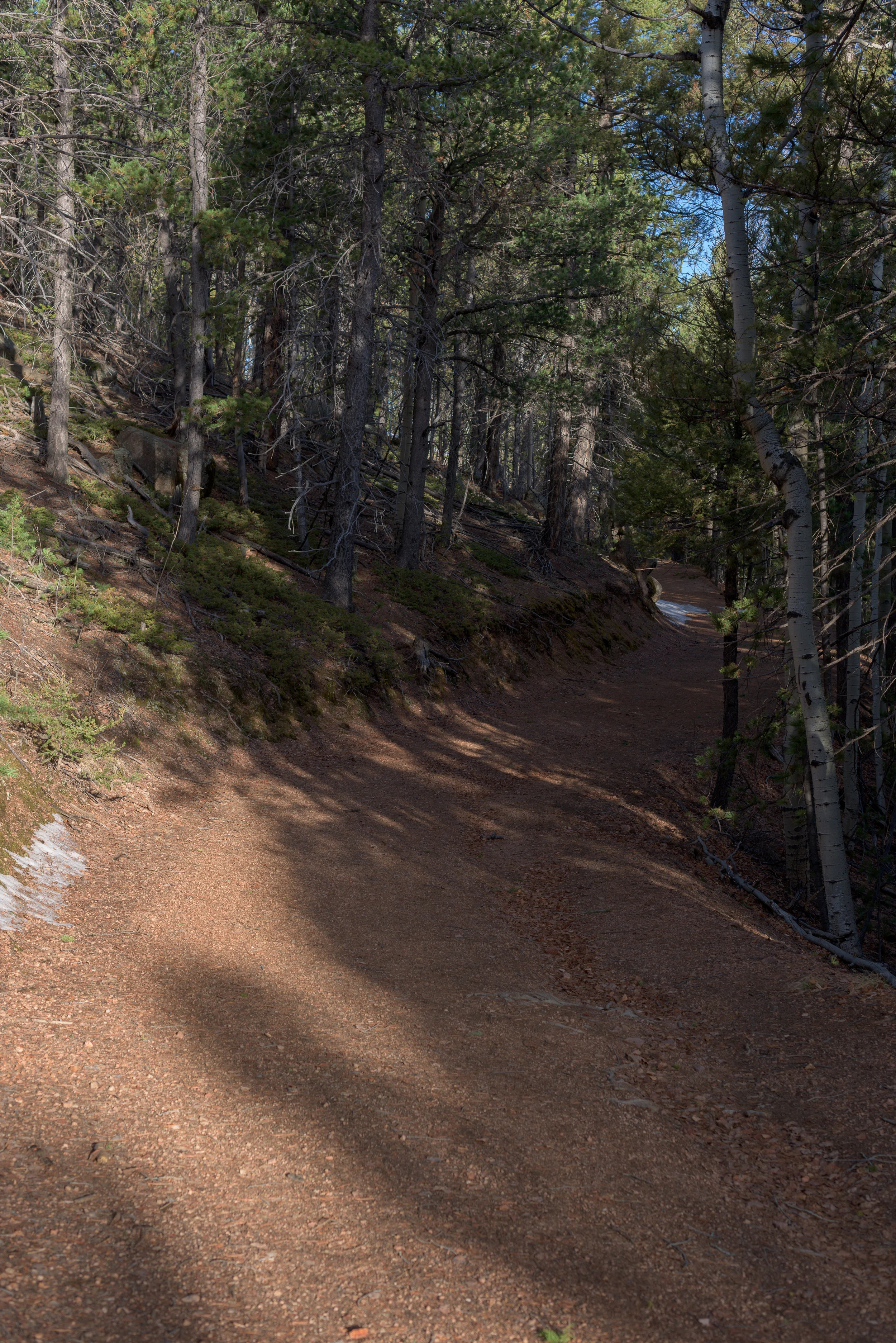 It's a wide path
