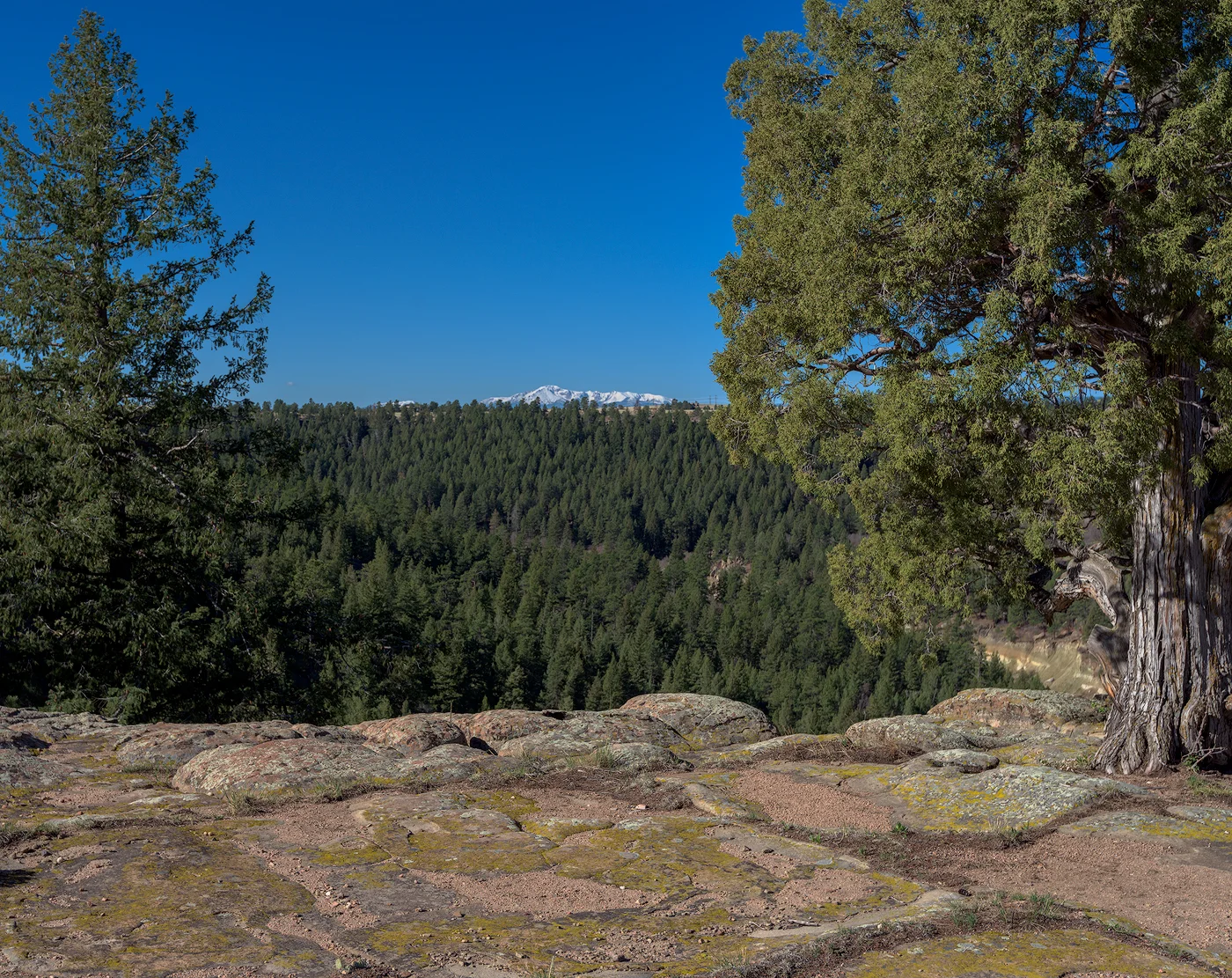 Snow-capped Pikes Peak from Rim Rock Trail