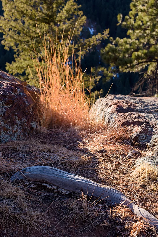 Ryan Stikeleather Break Trail Photography (www.breaktrailphotography.com)