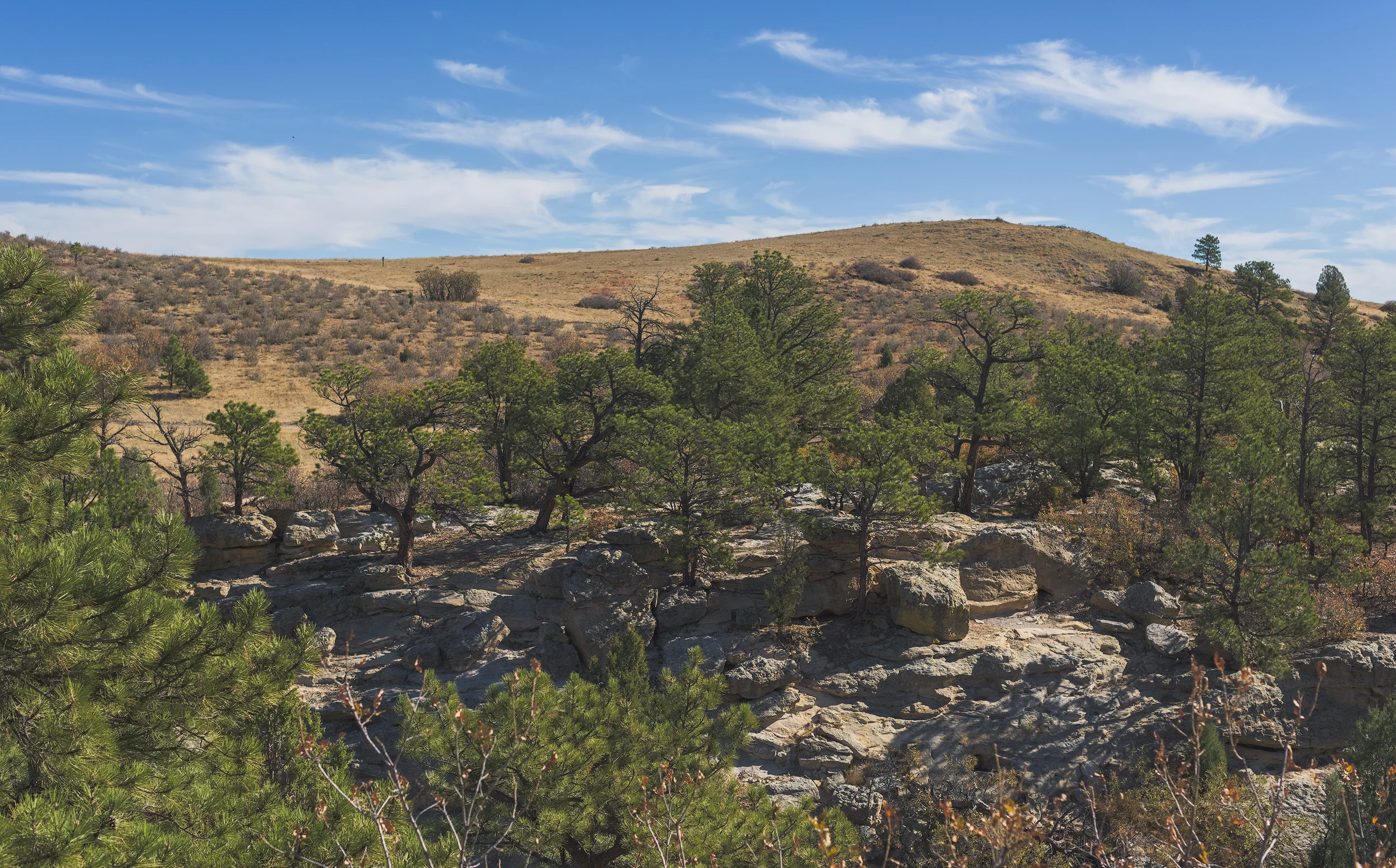How green was my valley? Not very, mostly rocks.