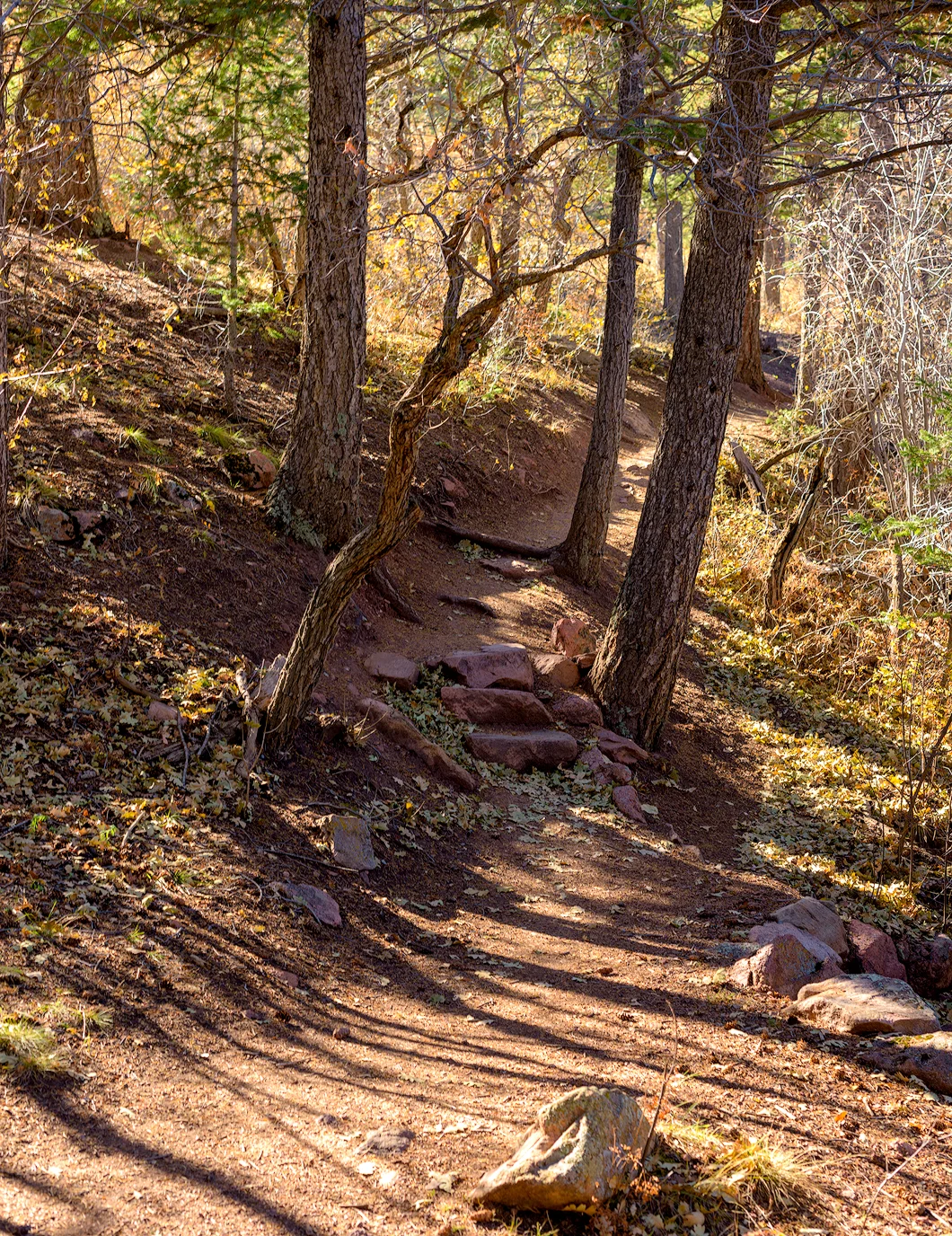 BTP_BPOS_trail_5.jpg