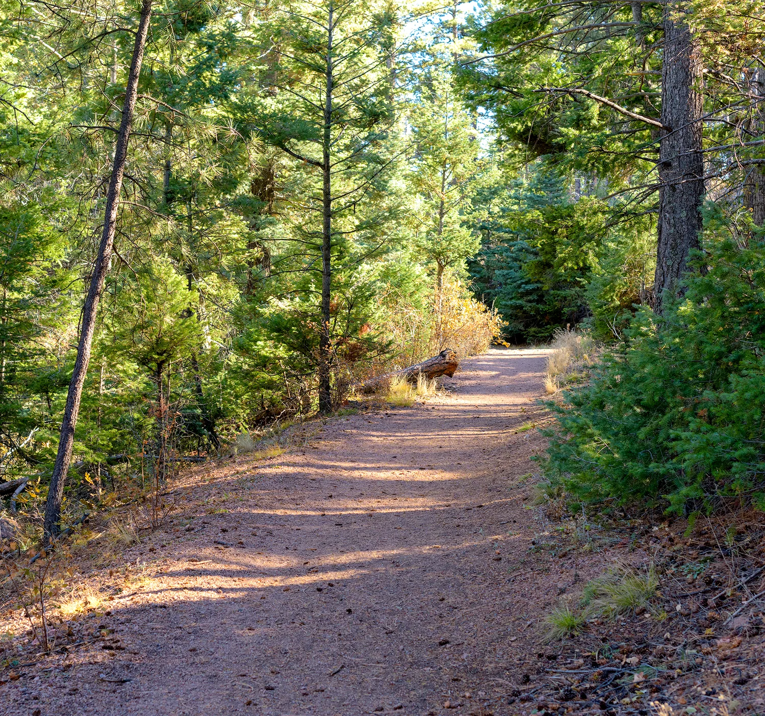 BTP_BPOS_trail_7.jpg