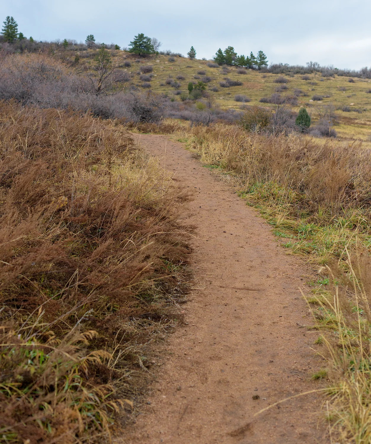BTP_Stratton_Open_Space_1.jpg