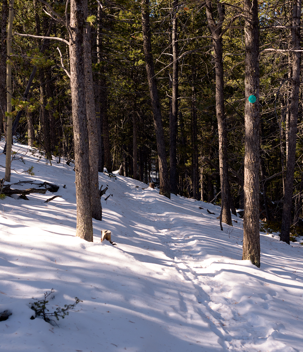 BTP_Elder_Fehn_Trail_12.jpg