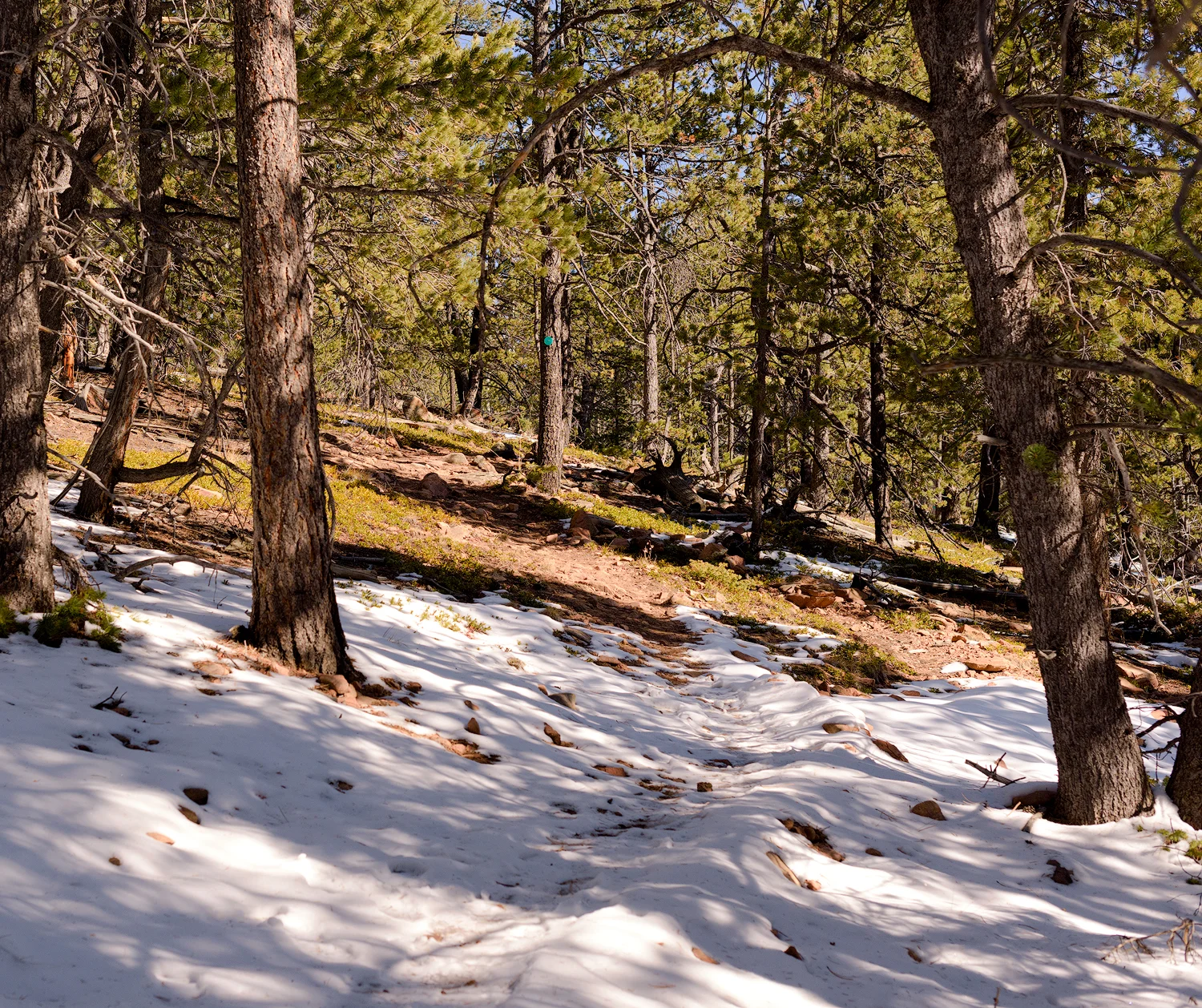 BTP_Elder_Fehn_Trail_13.jpg