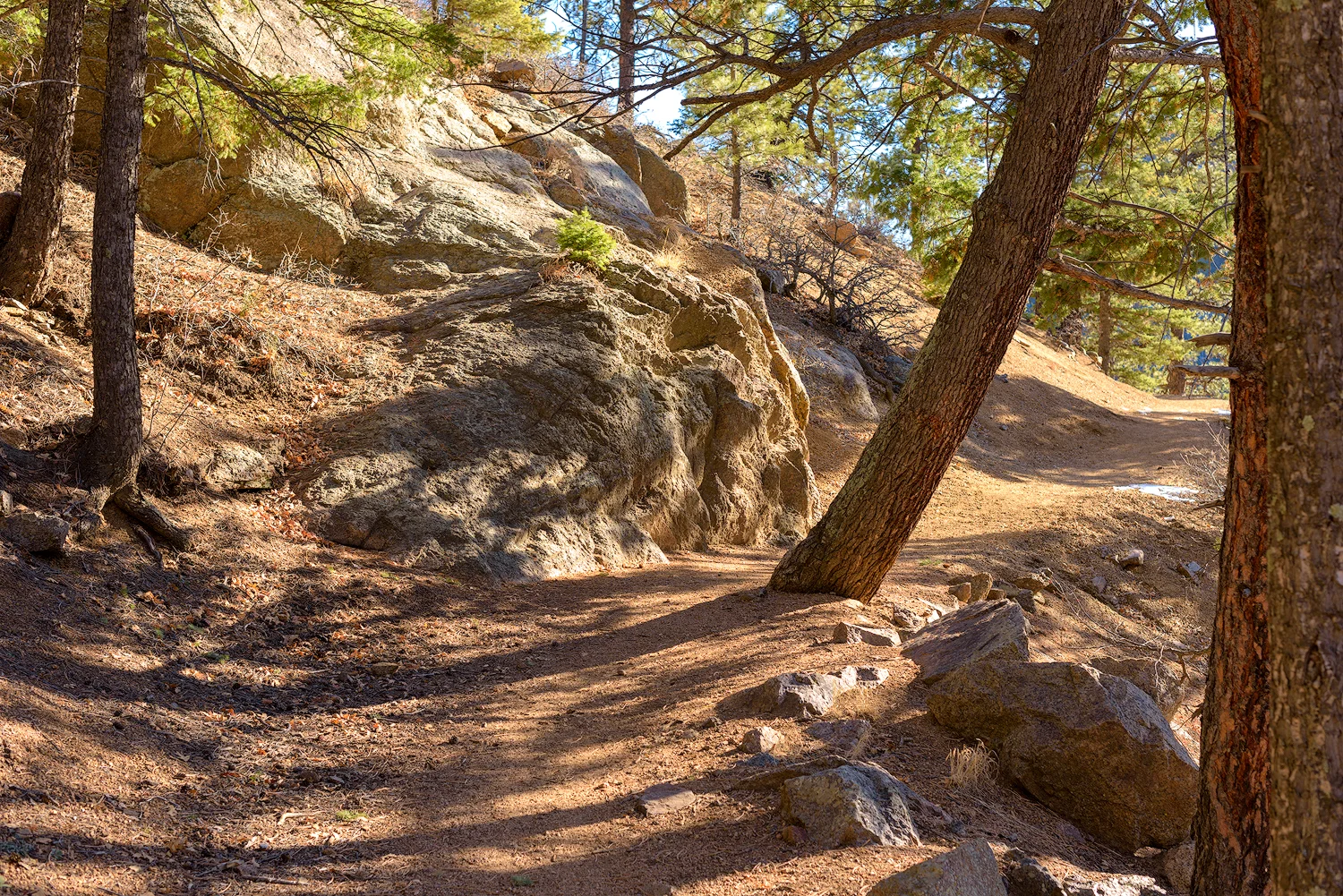 BTP_NCC_Upper_Columbine_Trail_4.jpg