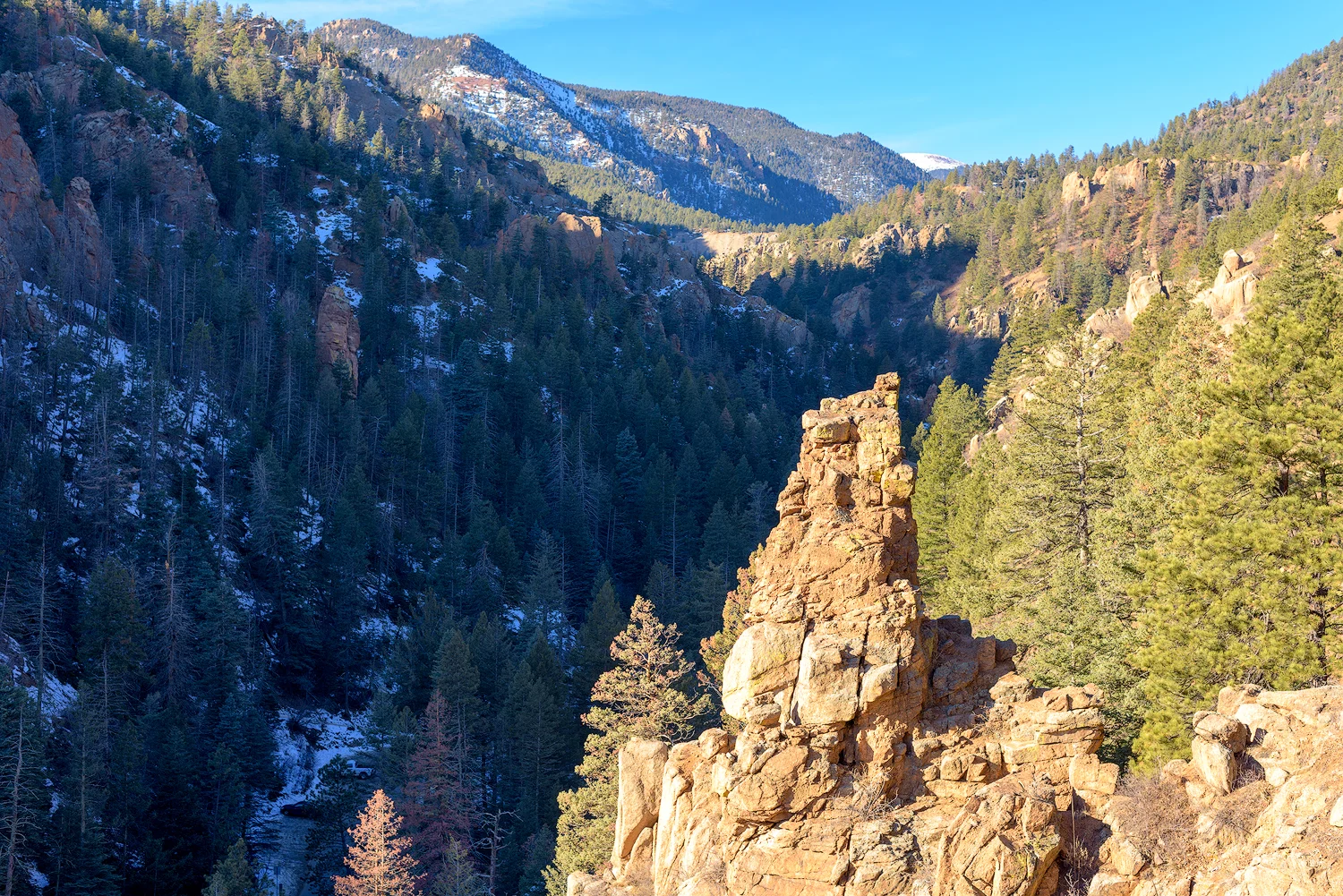 BTP_NCC_Middle_Columbine_Trail_5.jpg