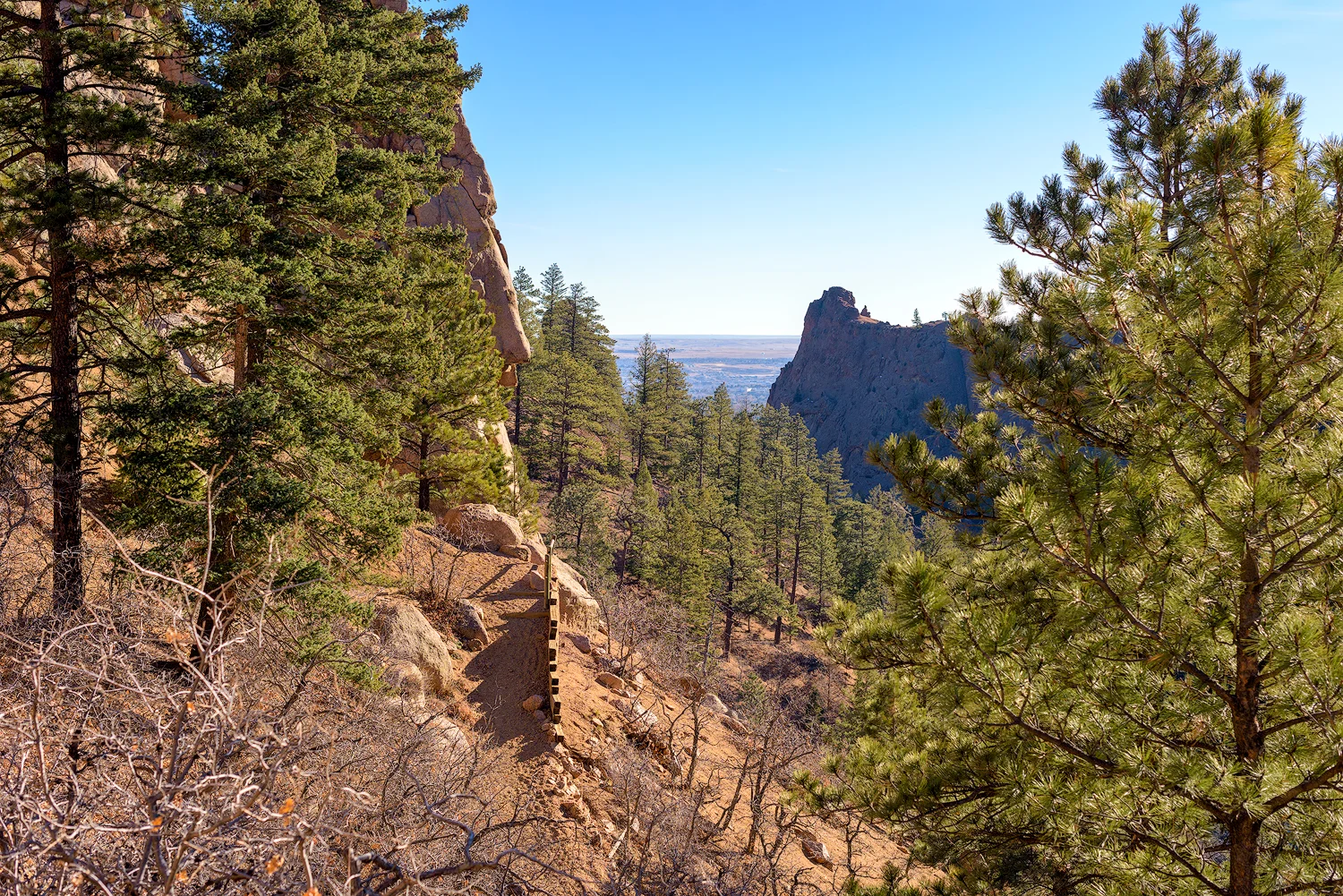 BTP_NCC_Middle_Columbine_Trail_8.jpg