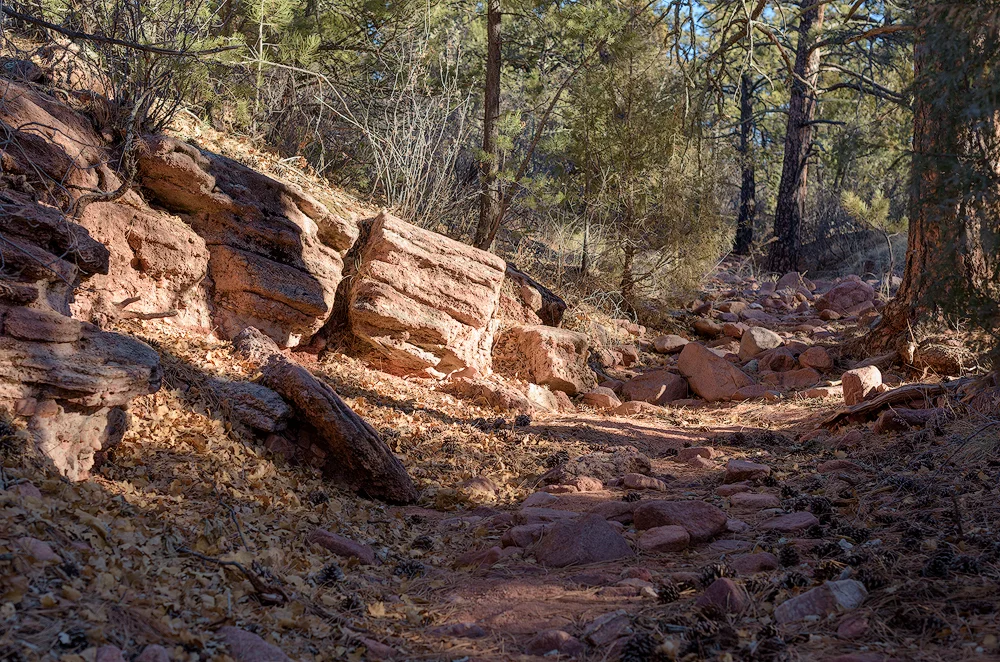 Part of the trail passing along the dry creek bed