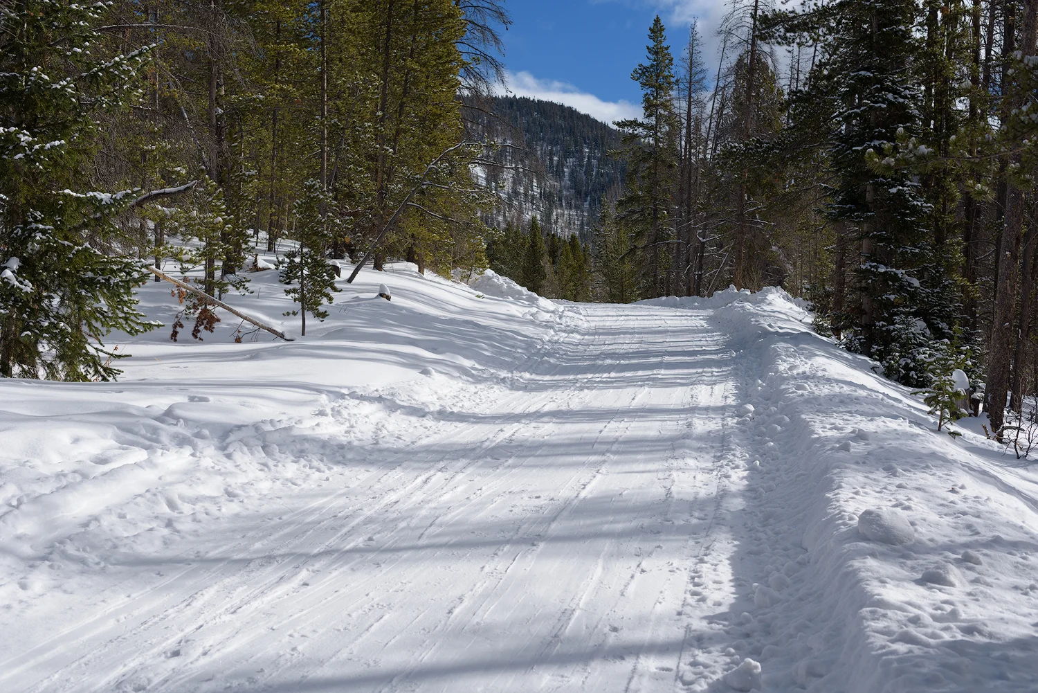 Lots of XC skiing traffic on this trail