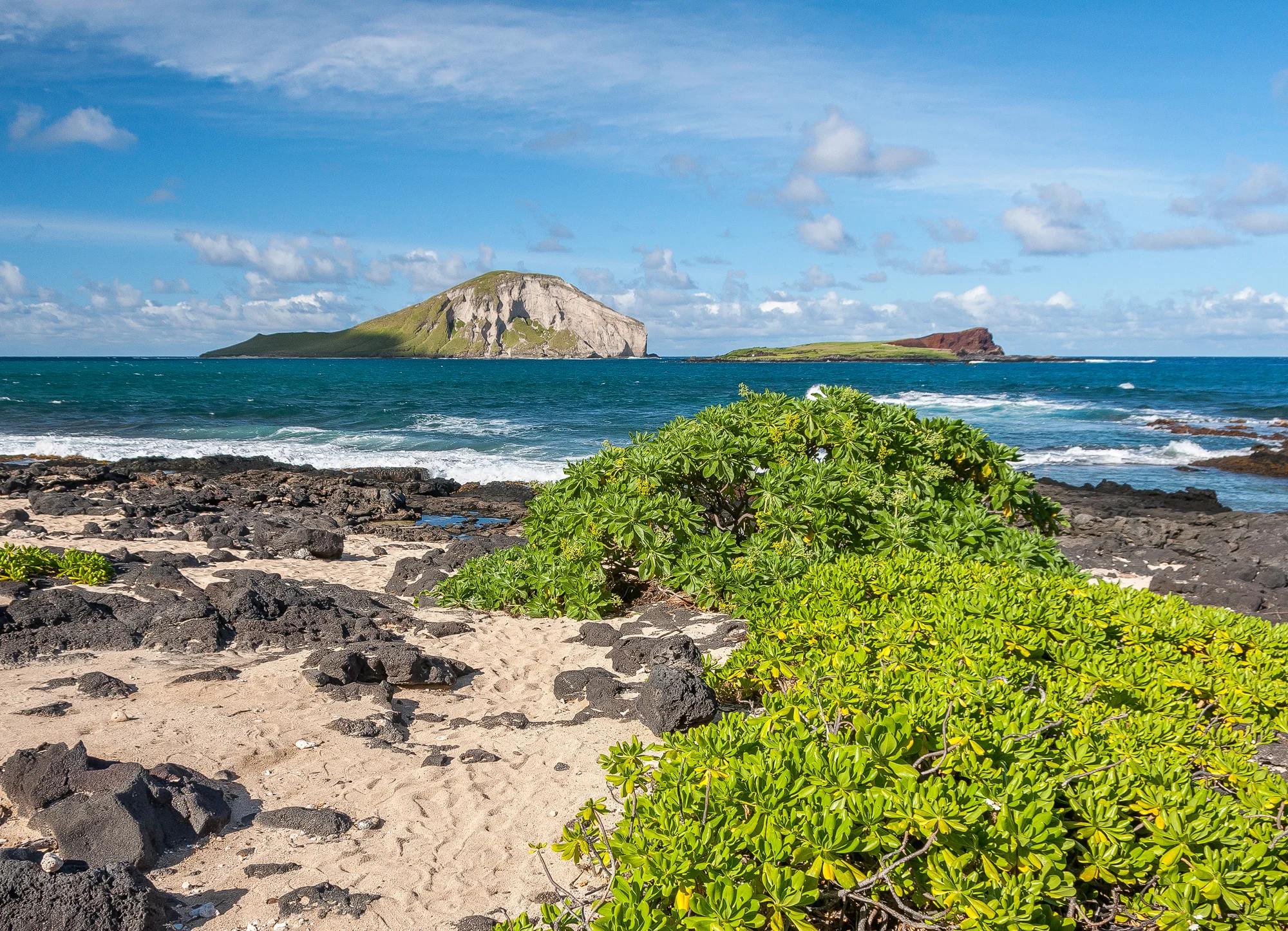 Rabbit Island