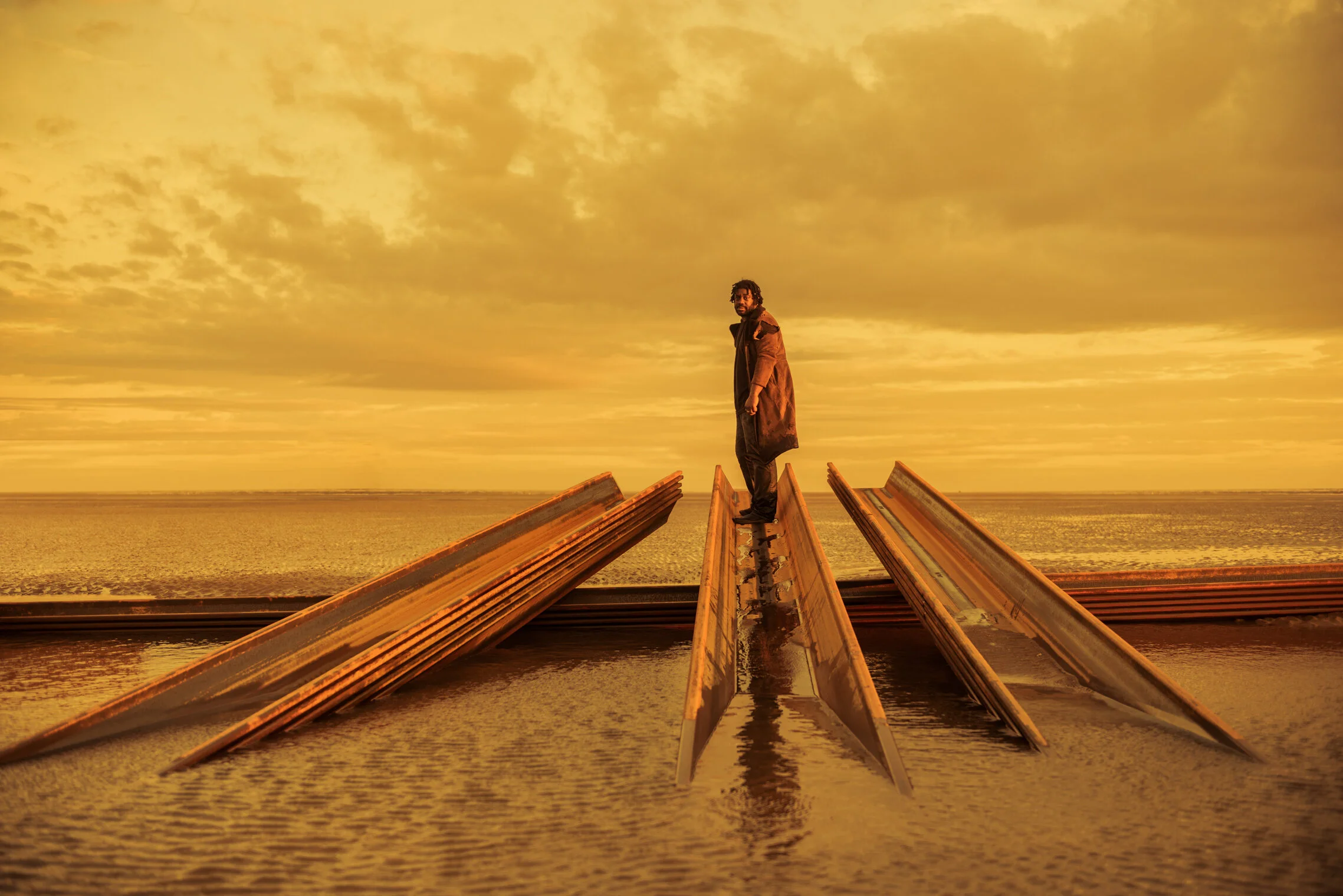 landscape prog2 copy.jpg