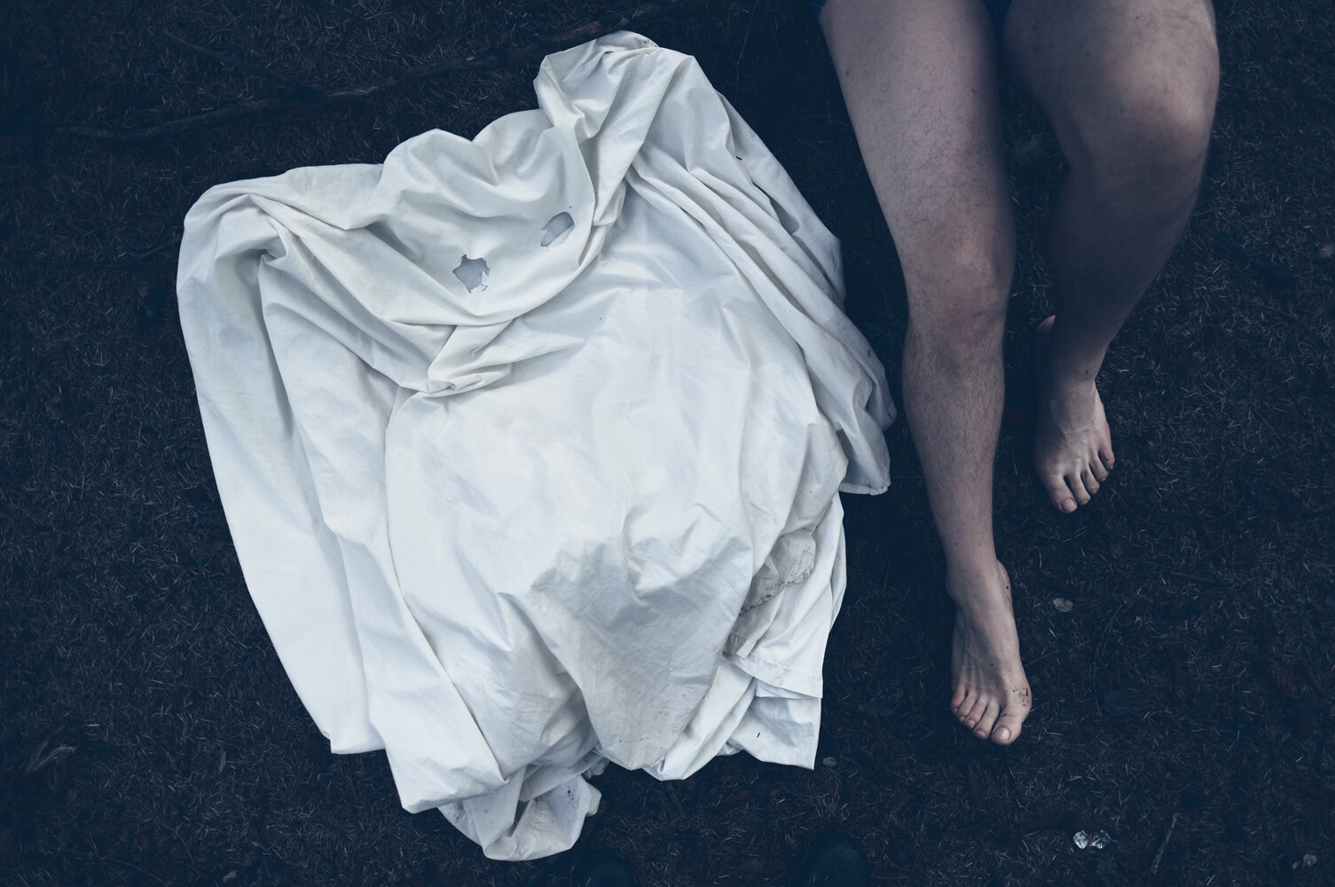 bootopia-on-floor-2.jpg