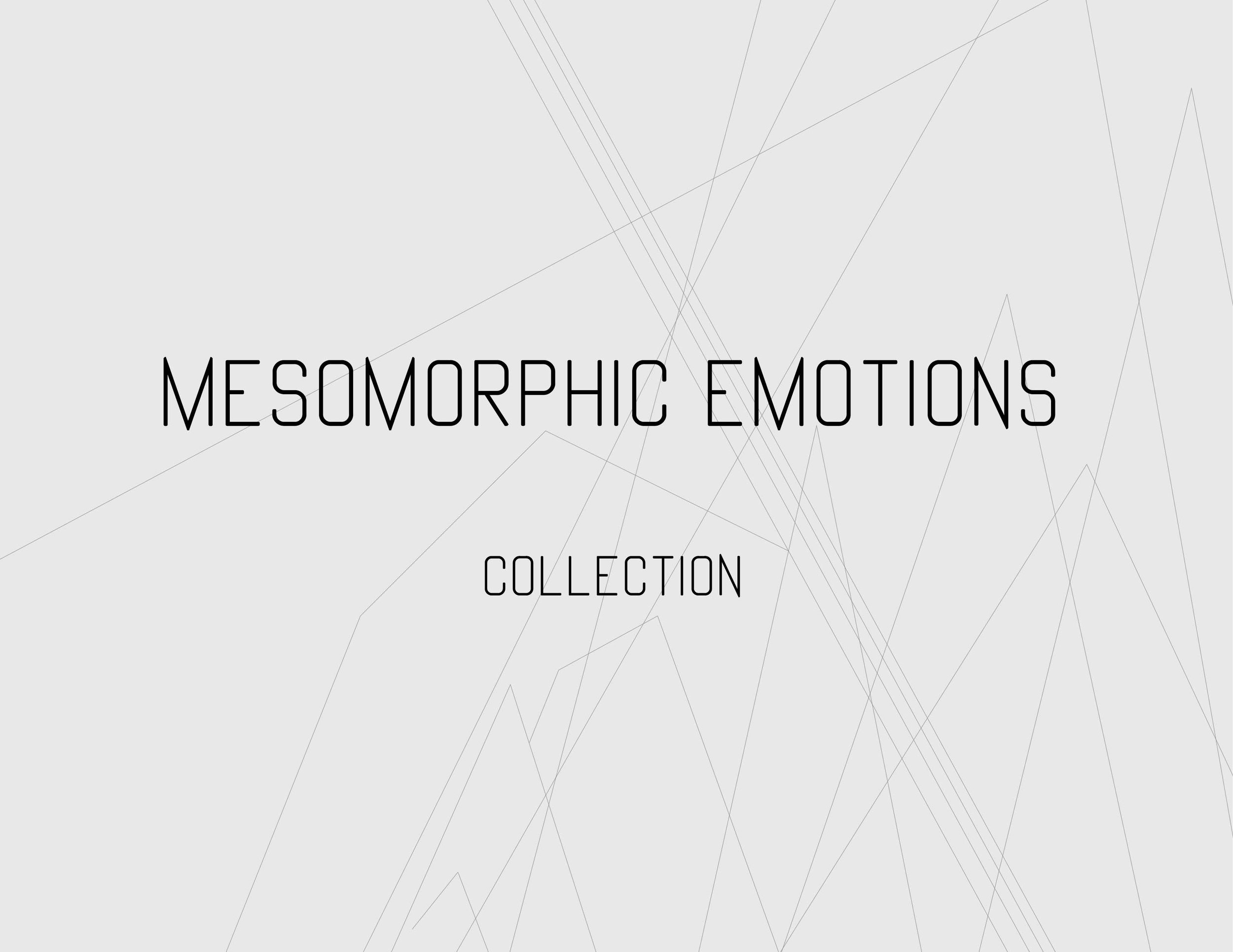 2-Mesomorphic Emotions -Line sheets-.jpg