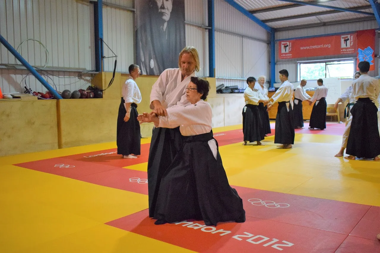 Seminar with Martijn van Hemmen Sensei