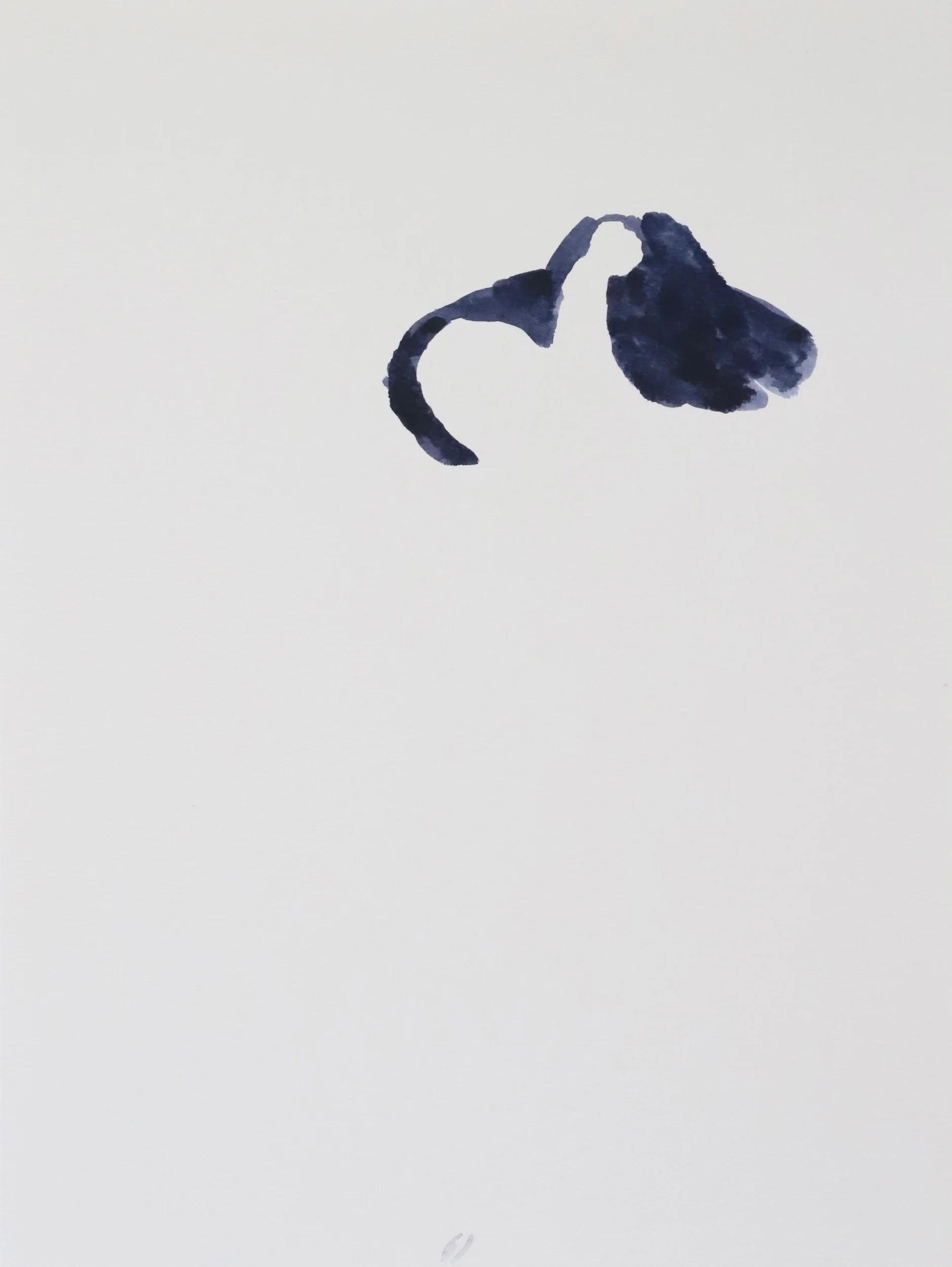  Untitled, watercolor on paper, 31x23cm, 2026 