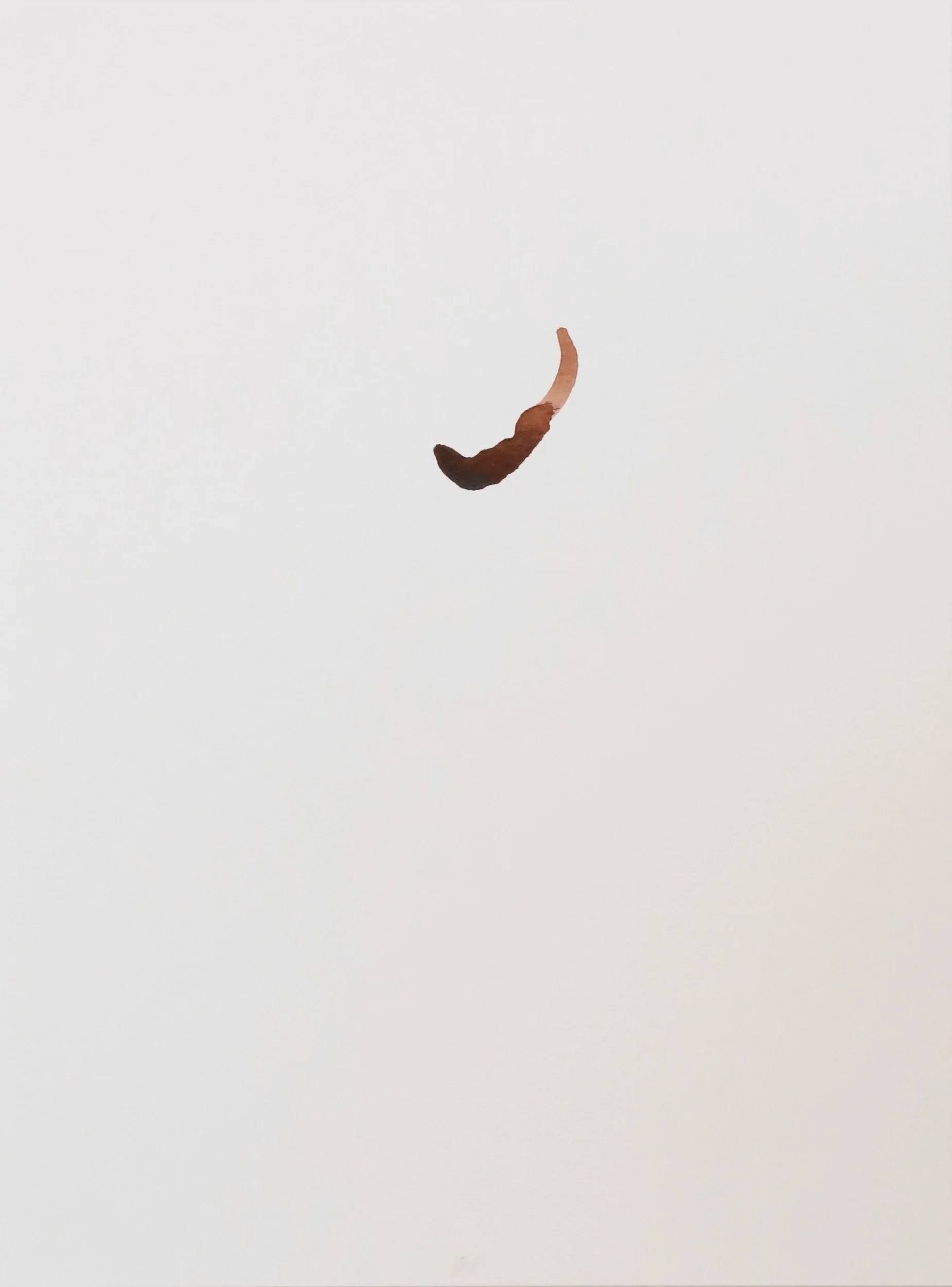  Untitled, watercolor on paper, 31x23cm, 2026 
