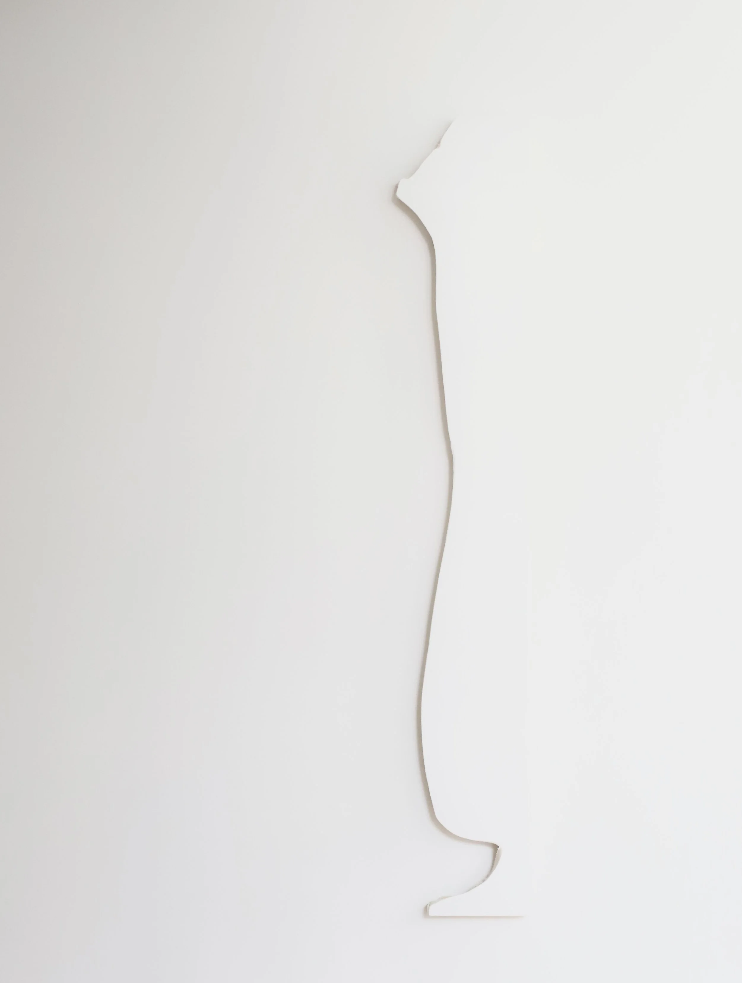  Untitled, canvas and gesso on wall, unsized, 2026 