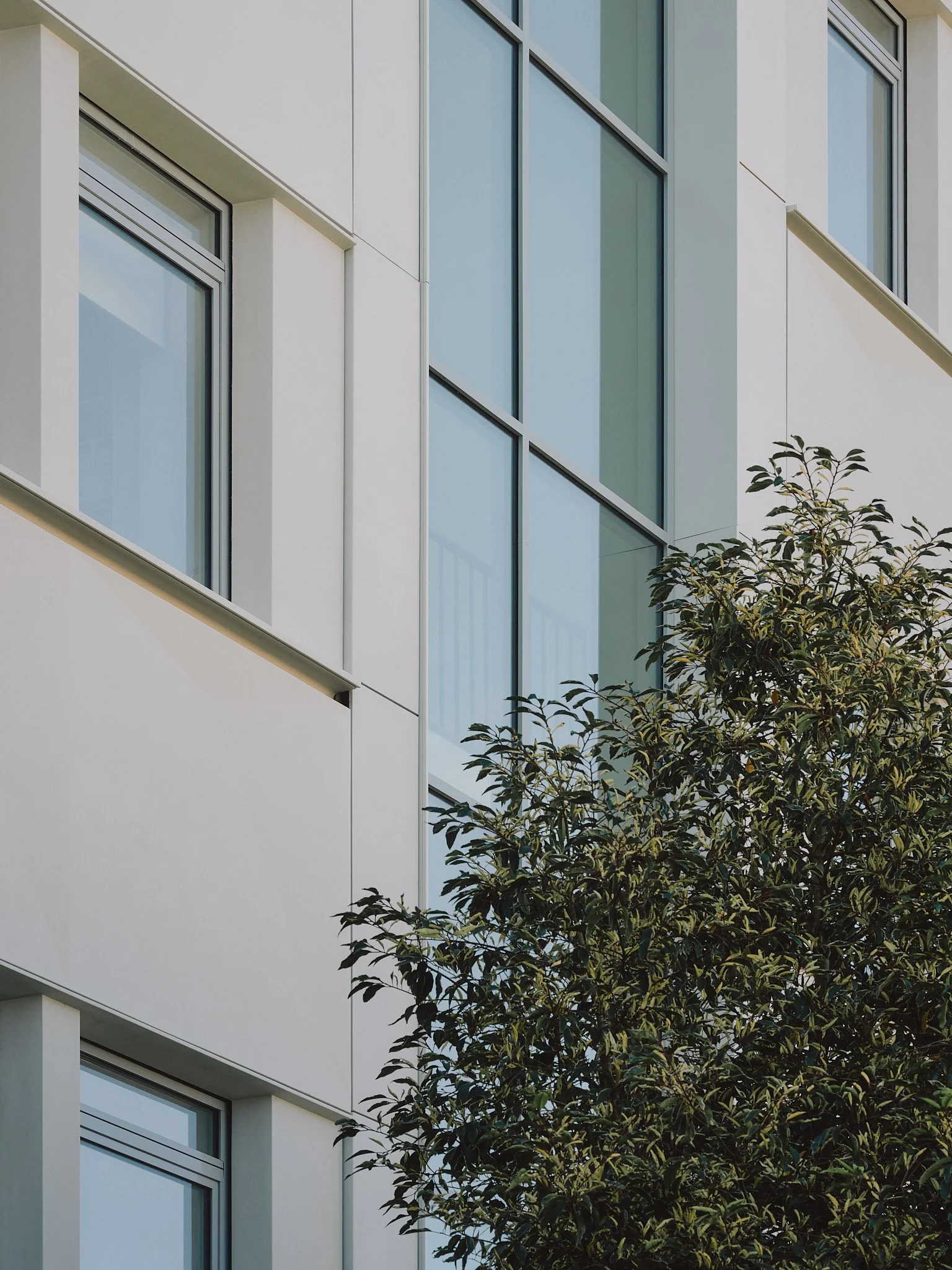 Epaillard Machado-Enia-Campus Villejean - Rennes - Bouygues Batiment Grand Ouest_51.jpg