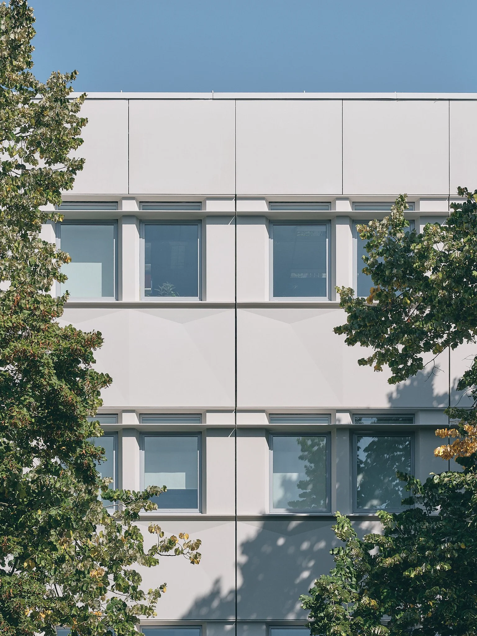 Epaillard Machado-Enia-Campus Villejean - Rennes - Bouygues Batiment Grand Ouest_54.jpg