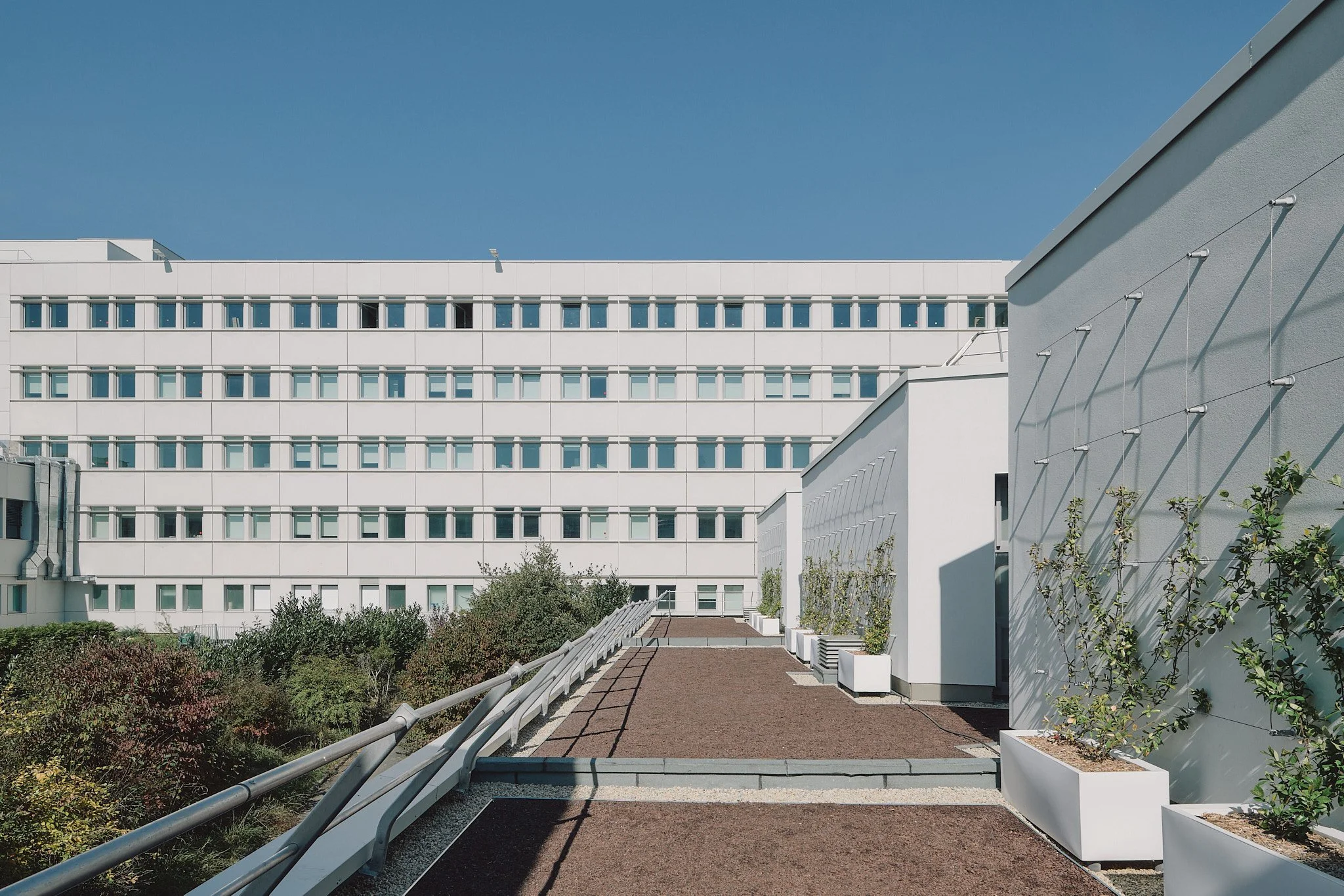Epaillard Machado-Enia-Campus Villejean - Rennes - Bouygues Batiment Grand Ouest_56.jpg