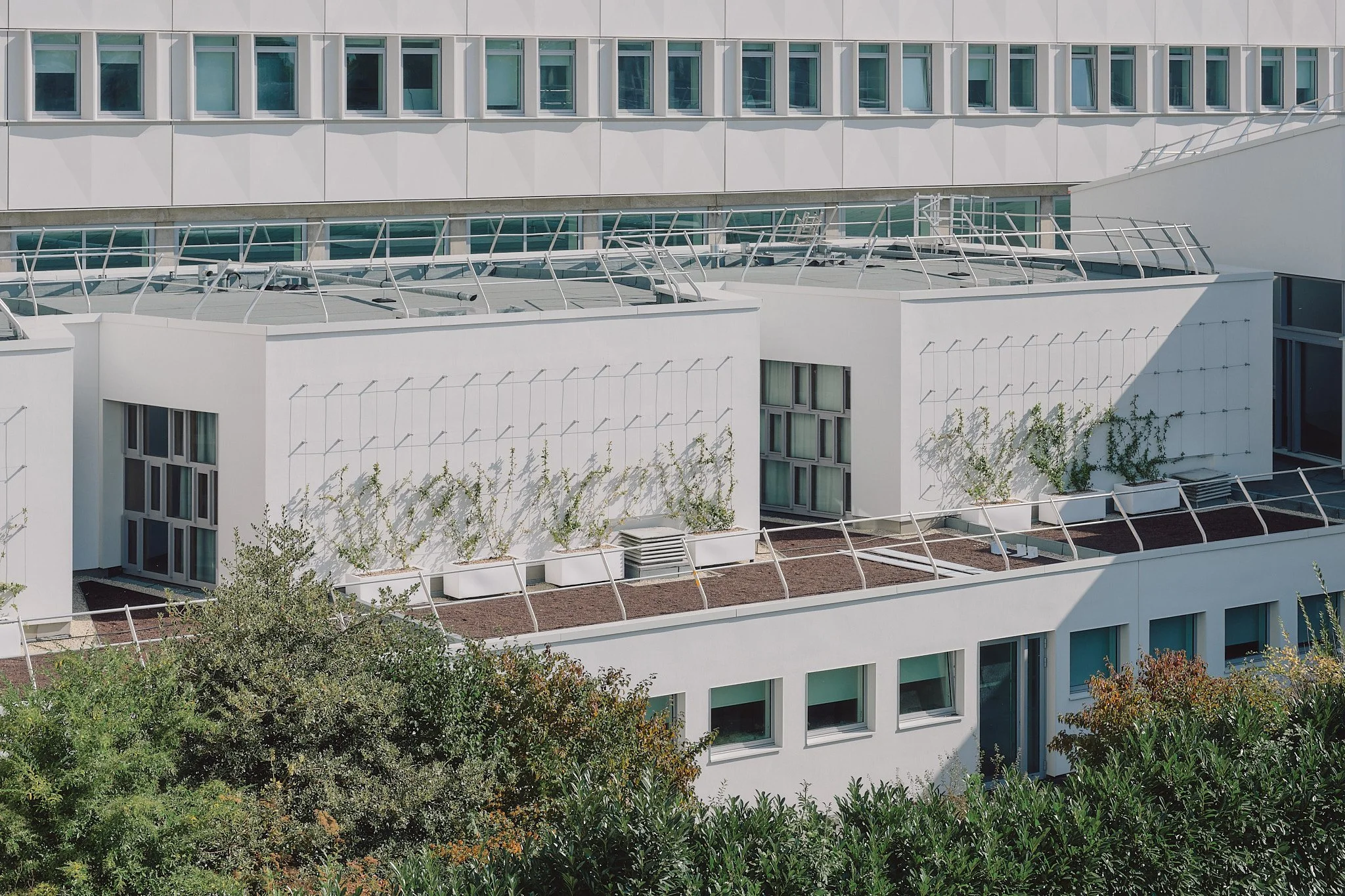 Epaillard Machado-Enia-Campus Villejean - Rennes - Bouygues Batiment Grand Ouest_60.jpg