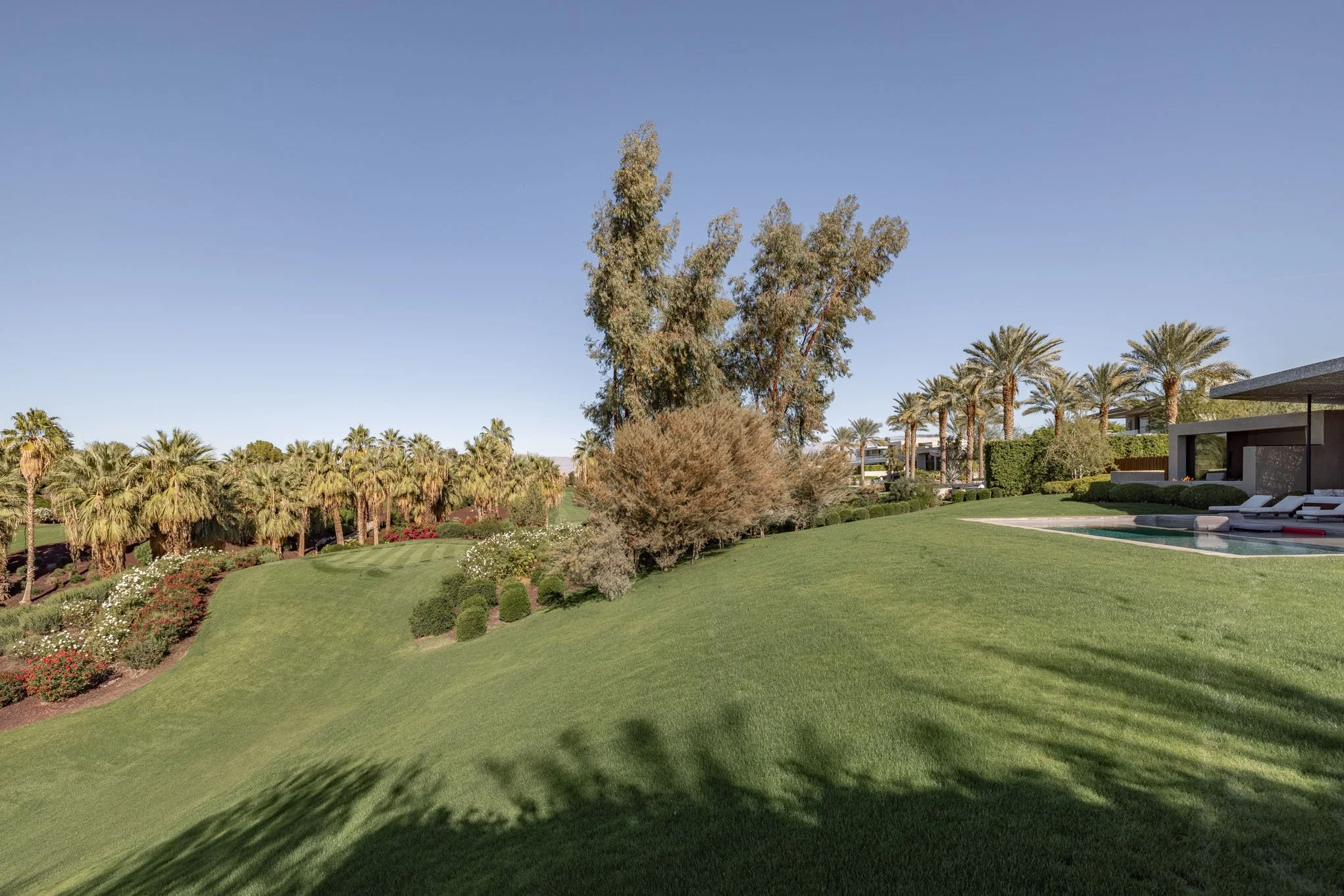 Lush green lawn with trees, shrubs, palm trees, and a swimming pool with lounge chairs on a sunny day.