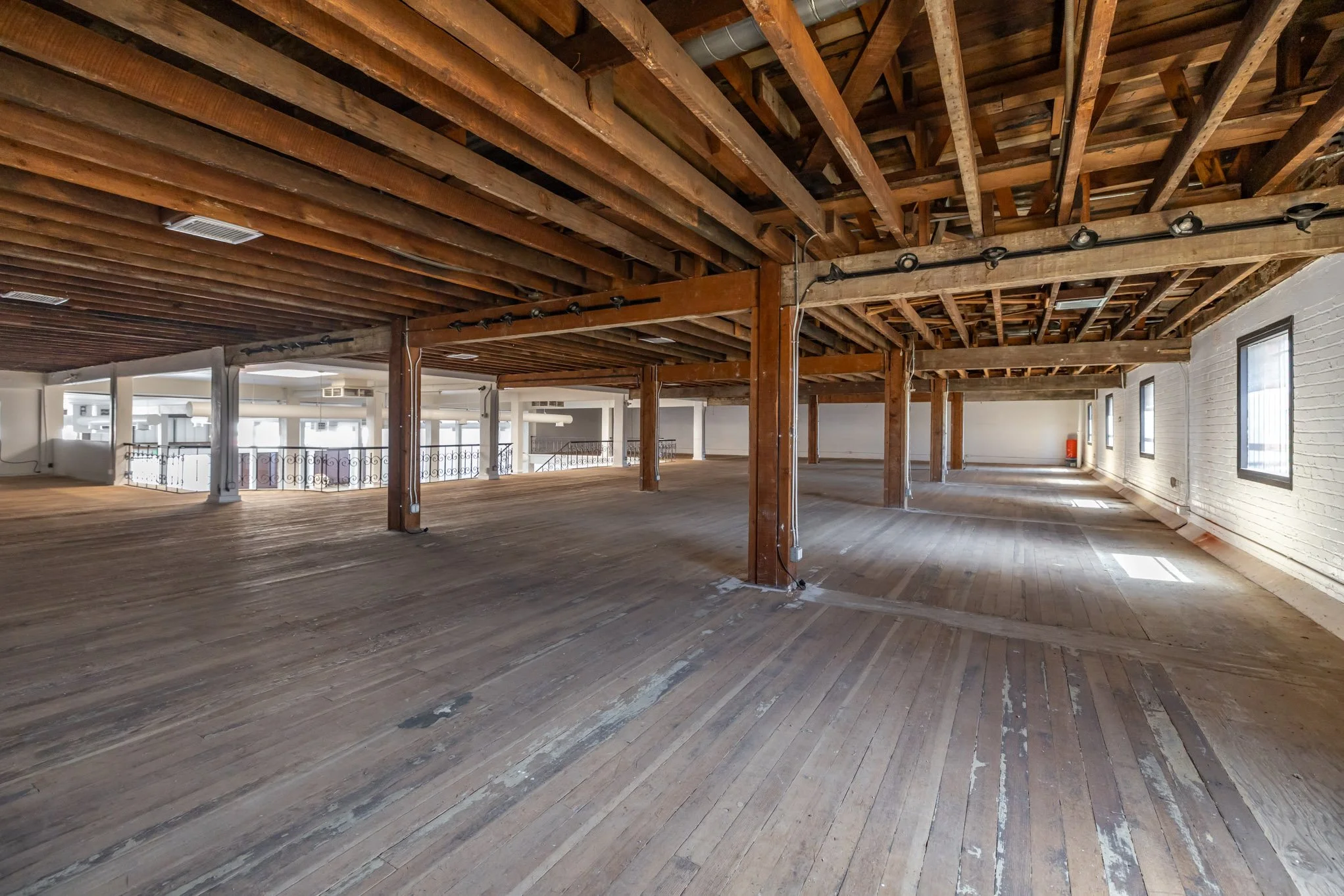 _F2A7294.jpg