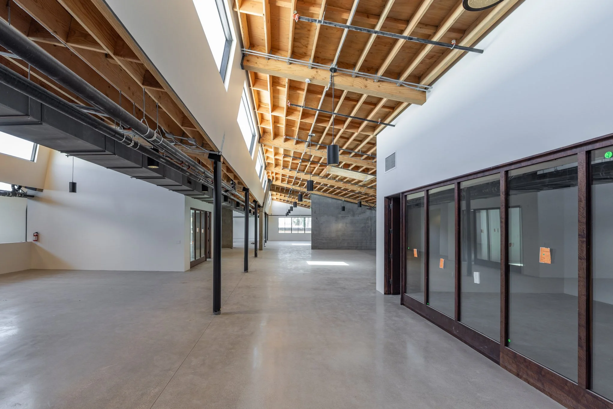 _F2A7917.jpg