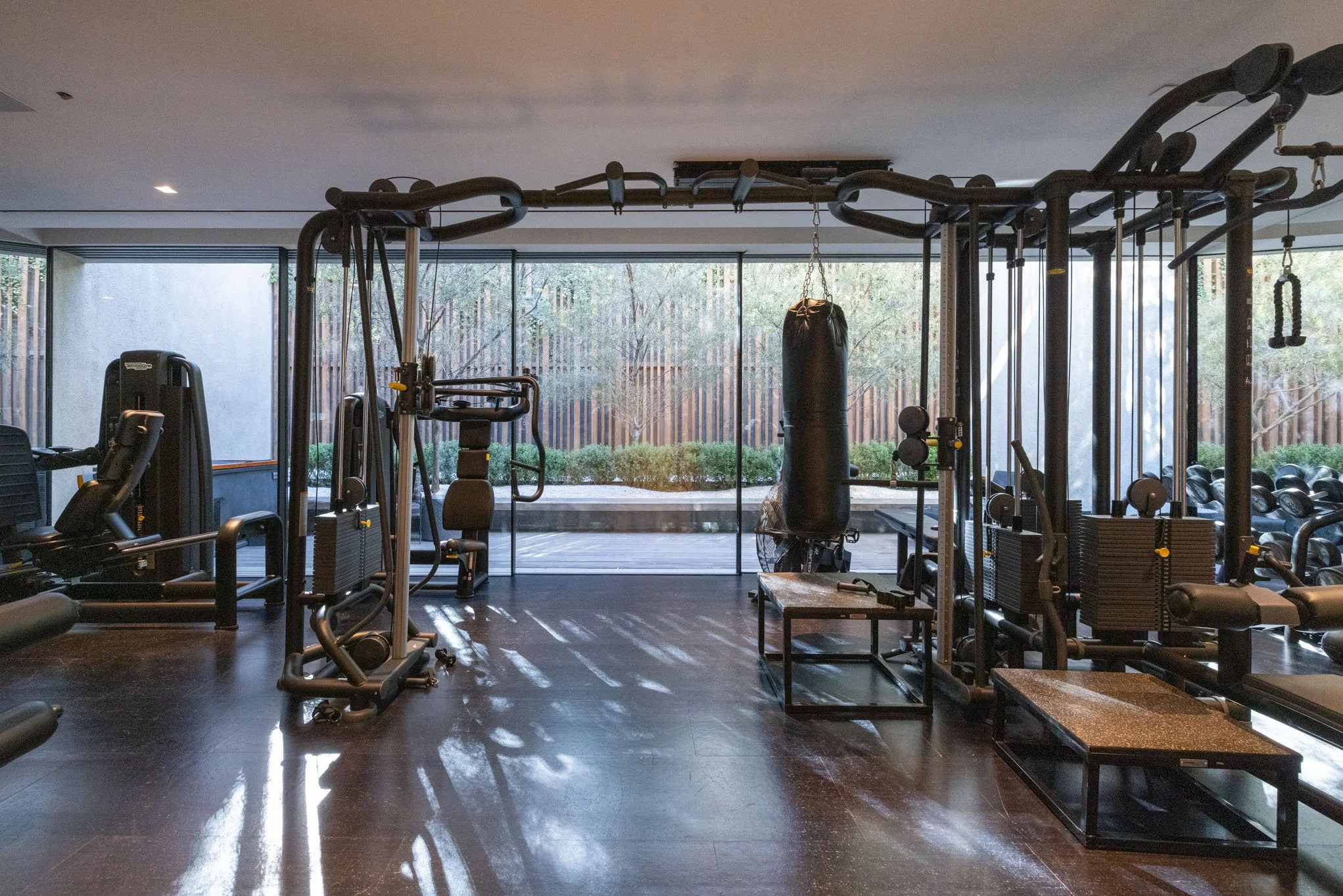 Modern gym with black workout equipment, a punching bag, dumbbells, and a view of outdoor greenery through large glass windows.