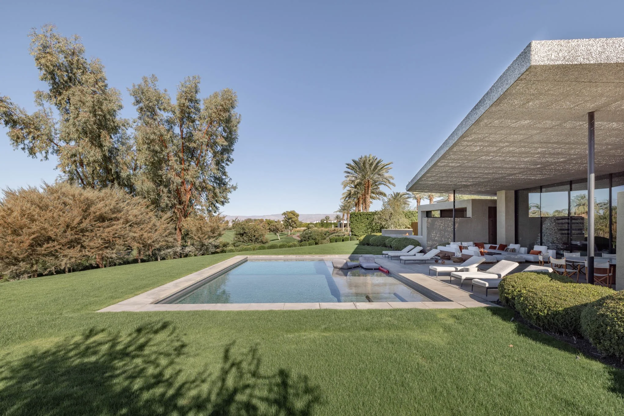 Modern house with an outdoor pool and lounge area, surrounded by green grass and palm trees, under a clear blue sky.